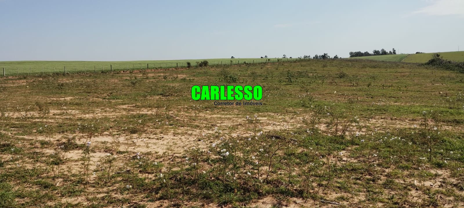 Fazenda à venda com 2 quartos, 295000m² - Foto 28