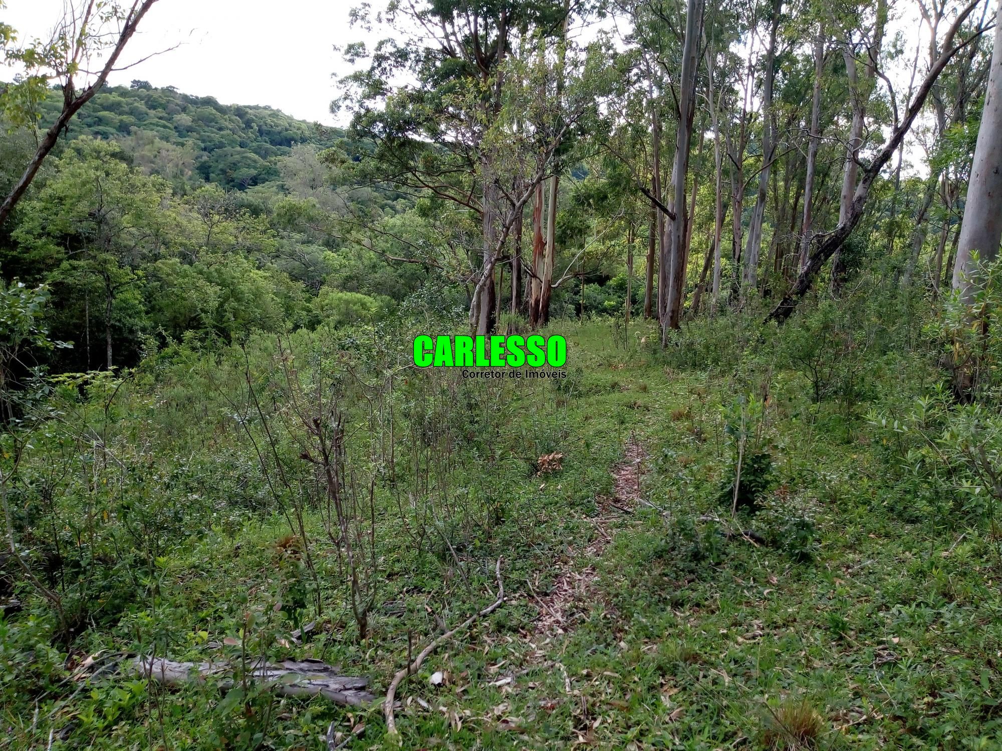 Loteamento e Condomínio à venda, 50000m² - Foto 12