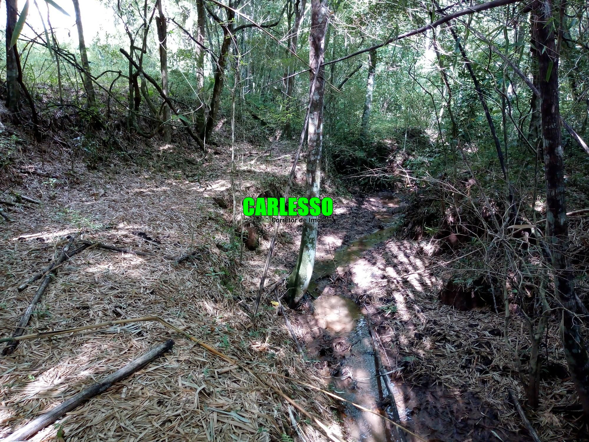 Loteamento e Condomínio à venda, 50000m² - Foto 21