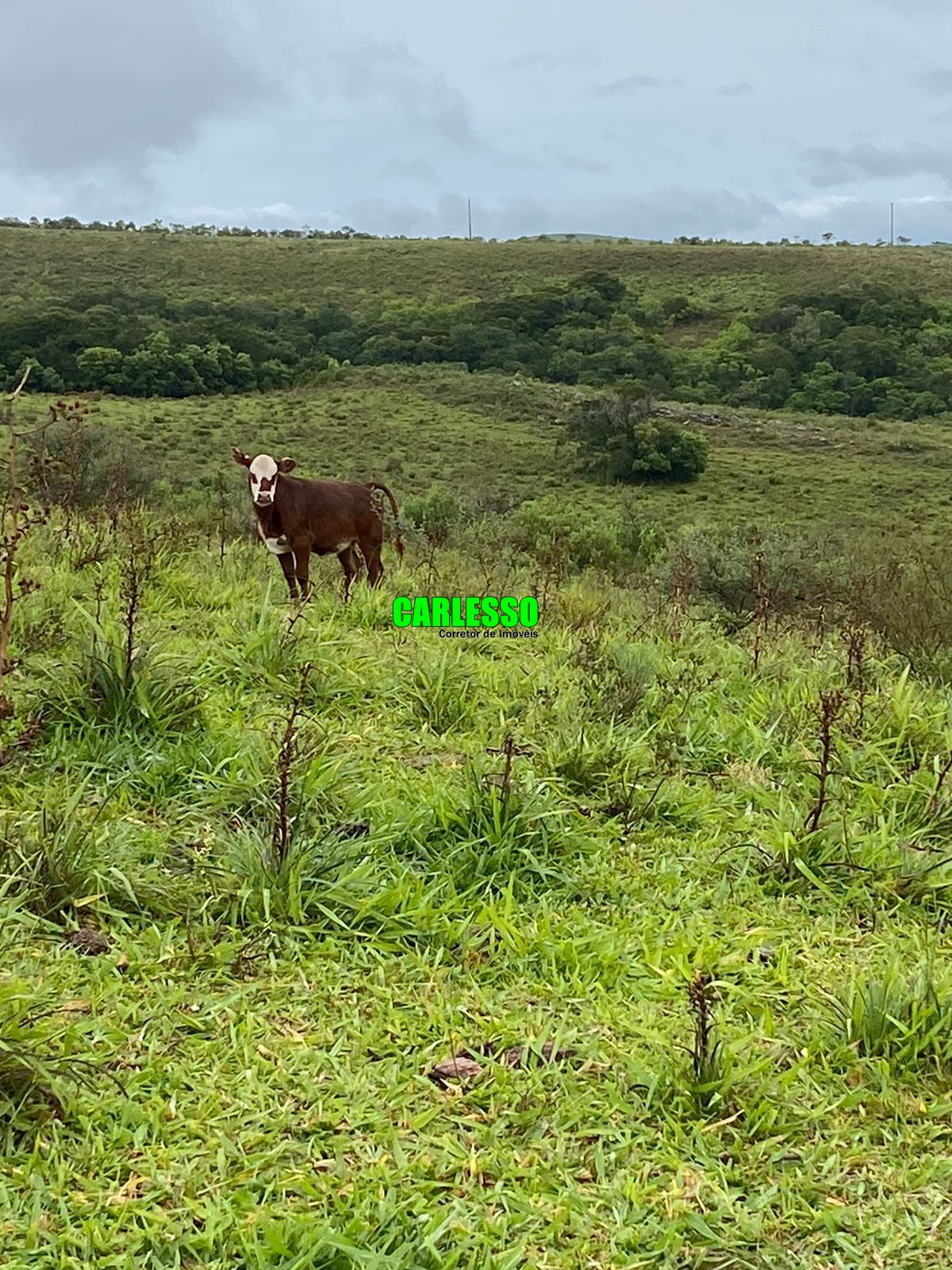 Fazenda à venda com 2 quartos, 5760000m² - Foto 25