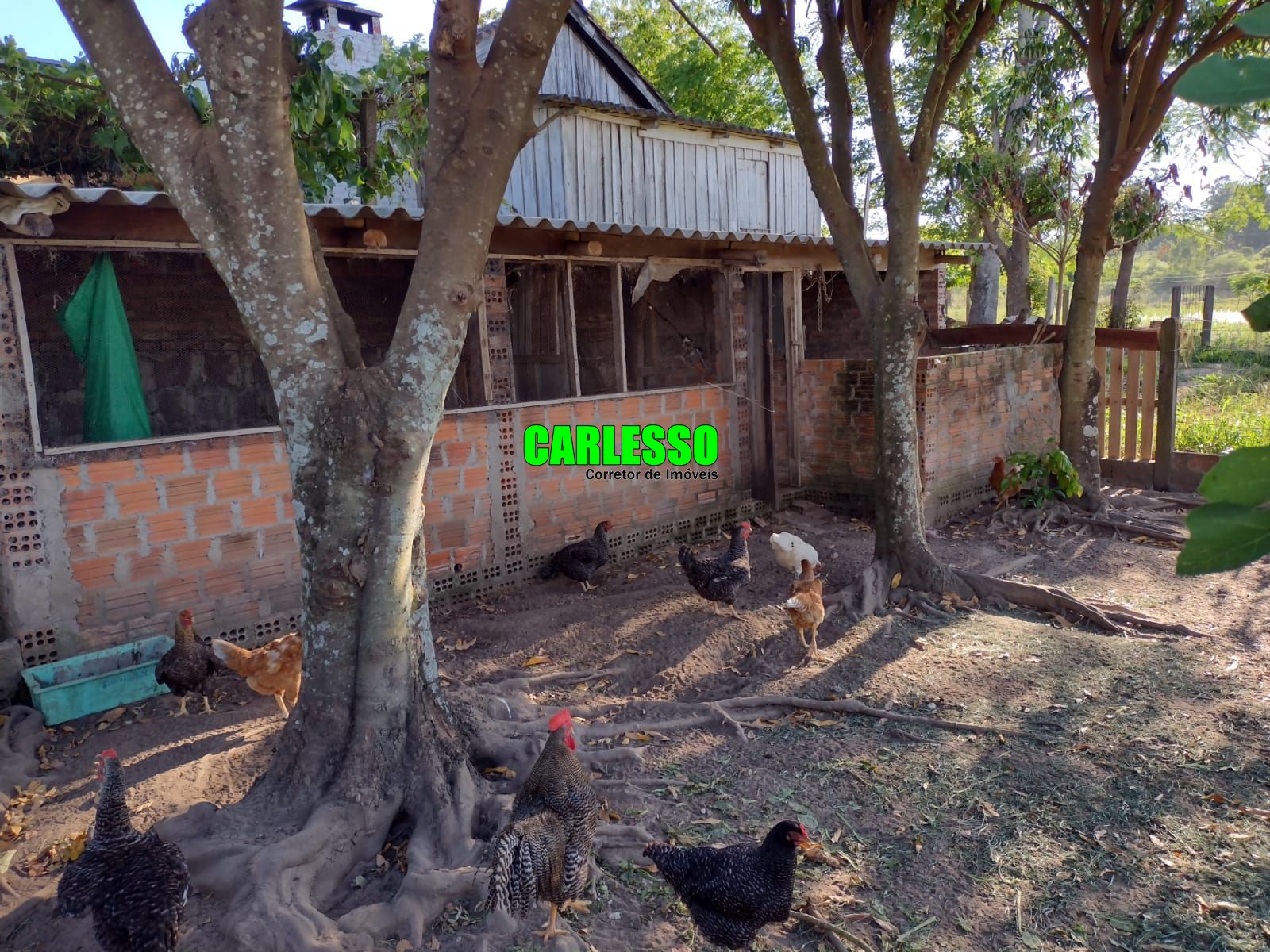 Fazenda à venda com 2 quartos, 150000m² - Foto 18