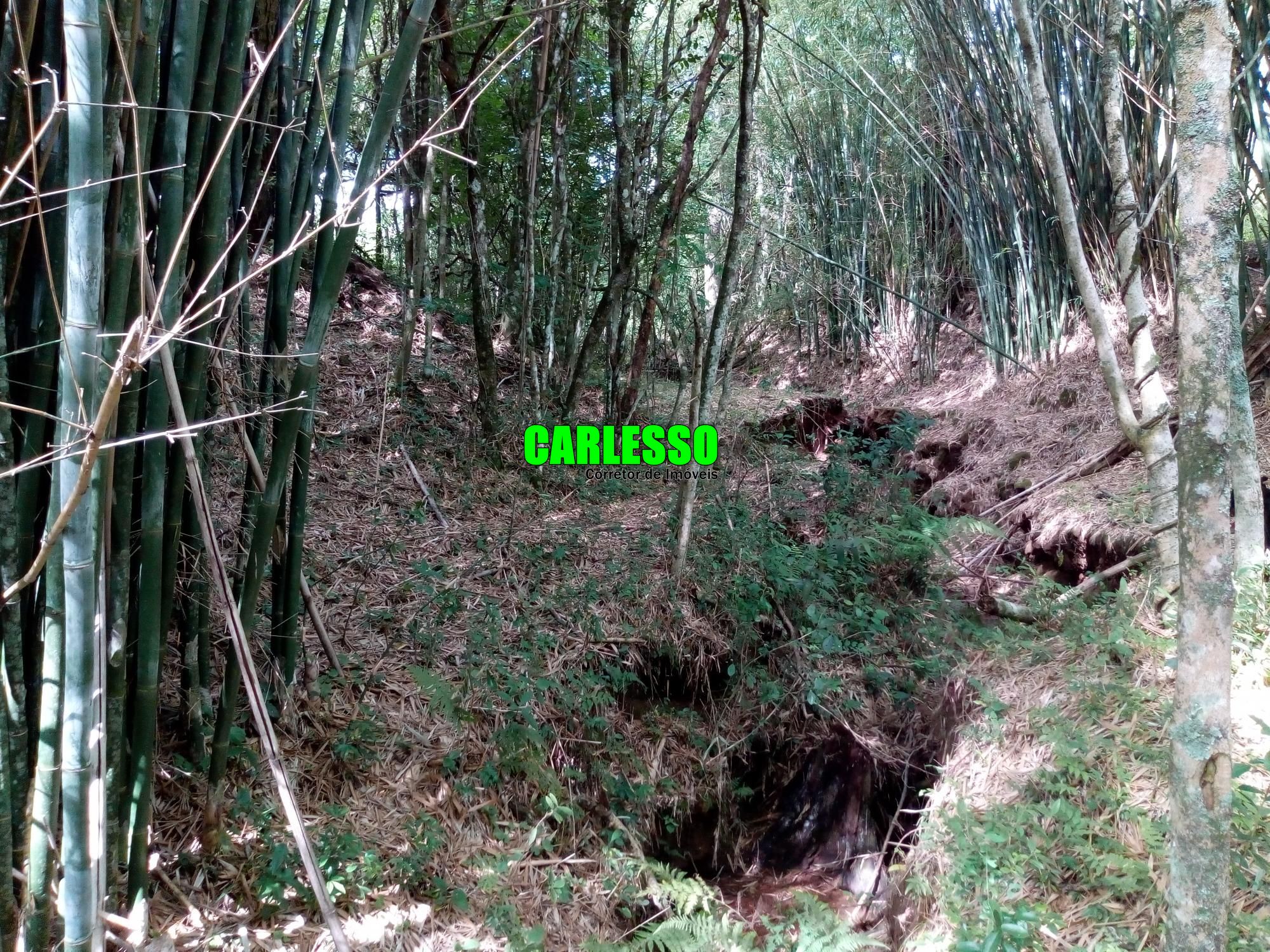 Loteamento e Condomínio à venda, 50000m² - Foto 27