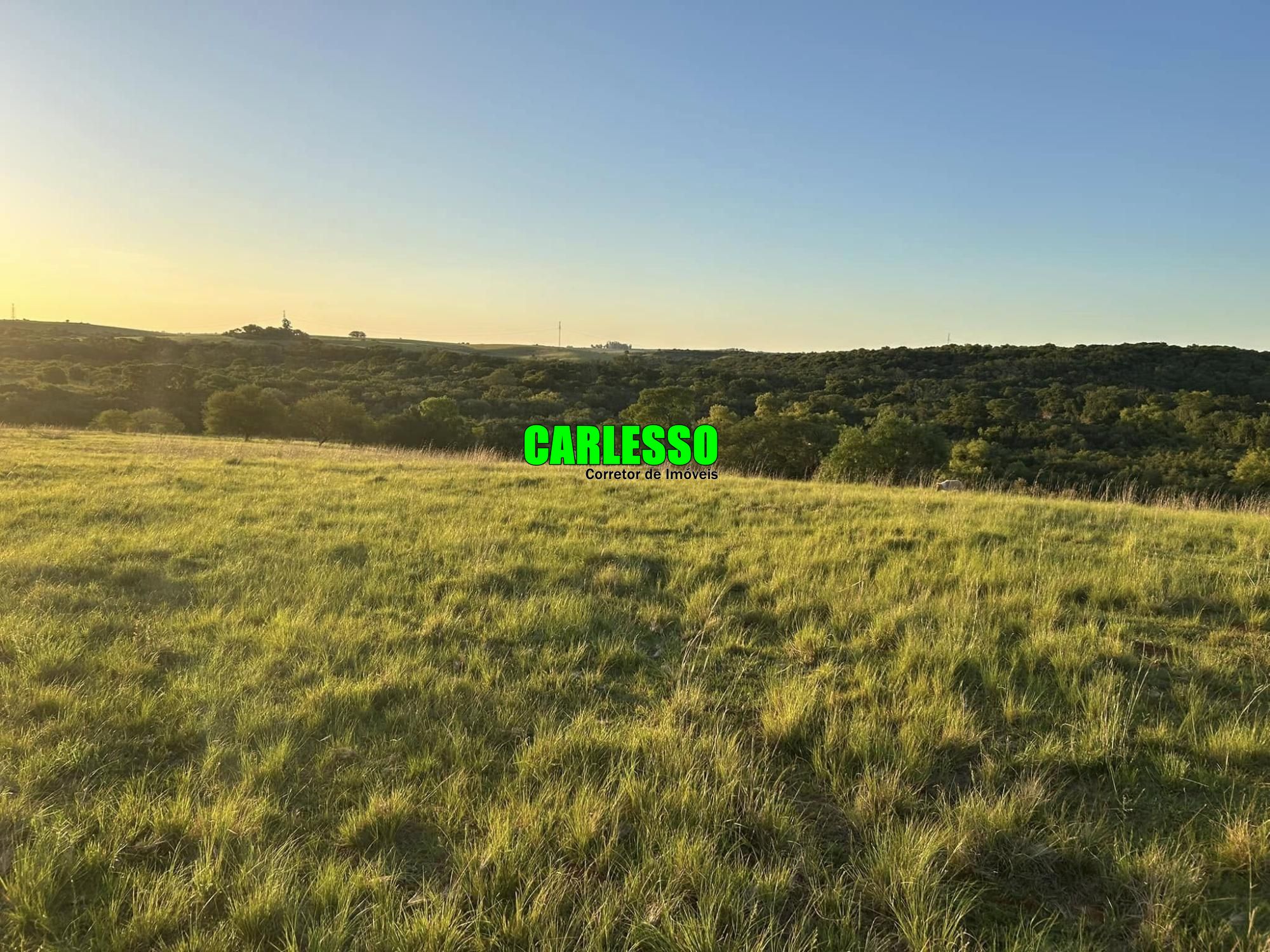 Fazenda à venda com 2 quartos, 70m² - Foto 3