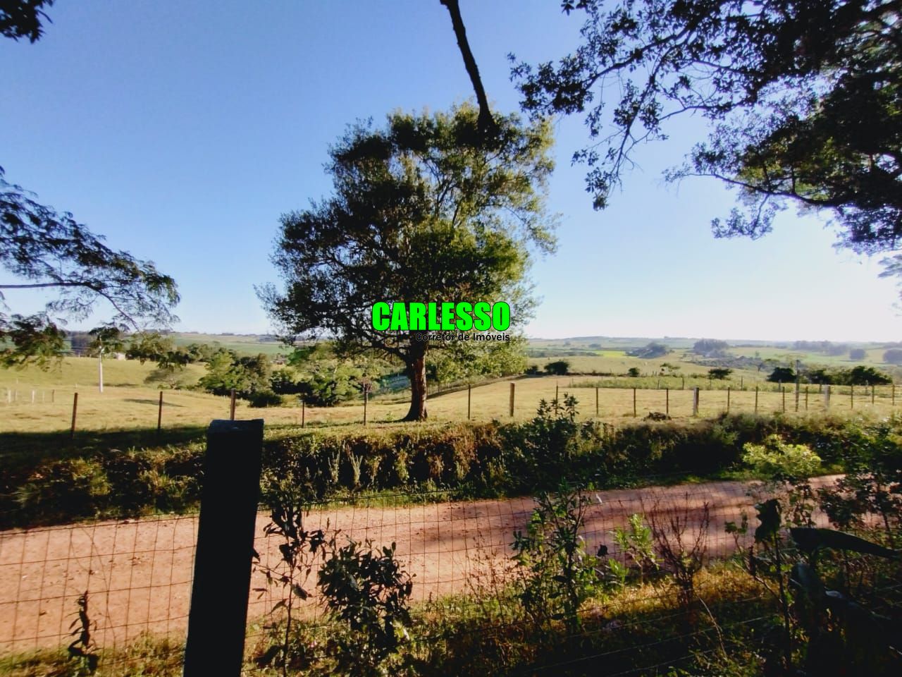 Fazenda à venda com 3 quartos, 100m² - Foto 54