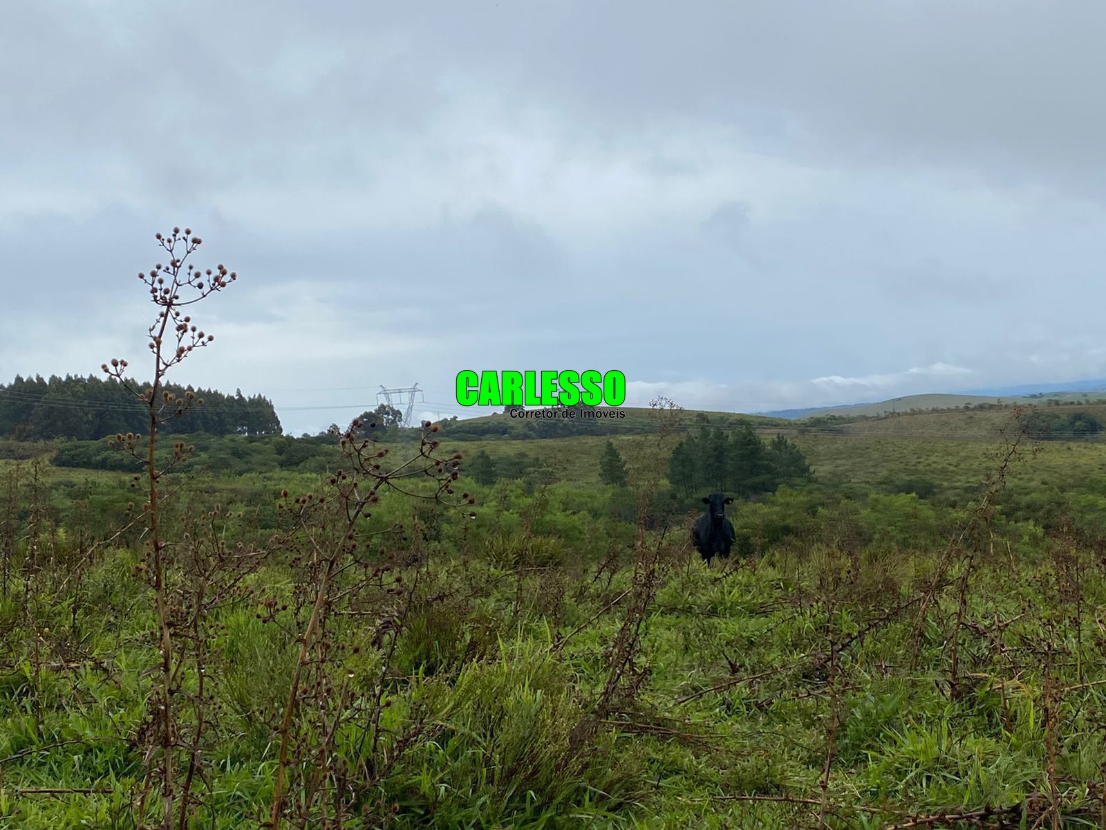 Fazenda à venda com 2 quartos, 5760000m² - Foto 21