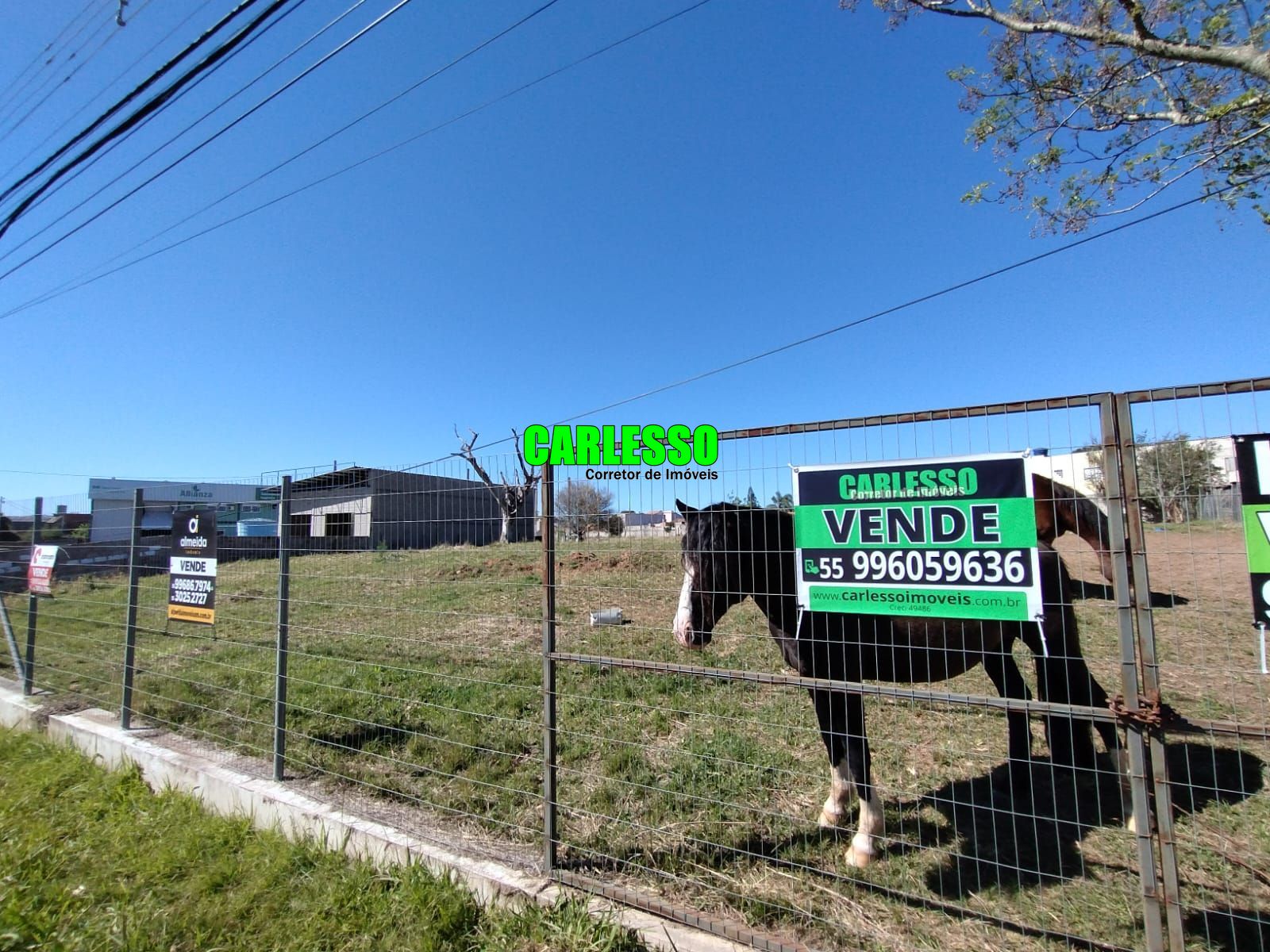 Terreno/Lote  venda  no Camobi - Santa Maria, RS. Imveis