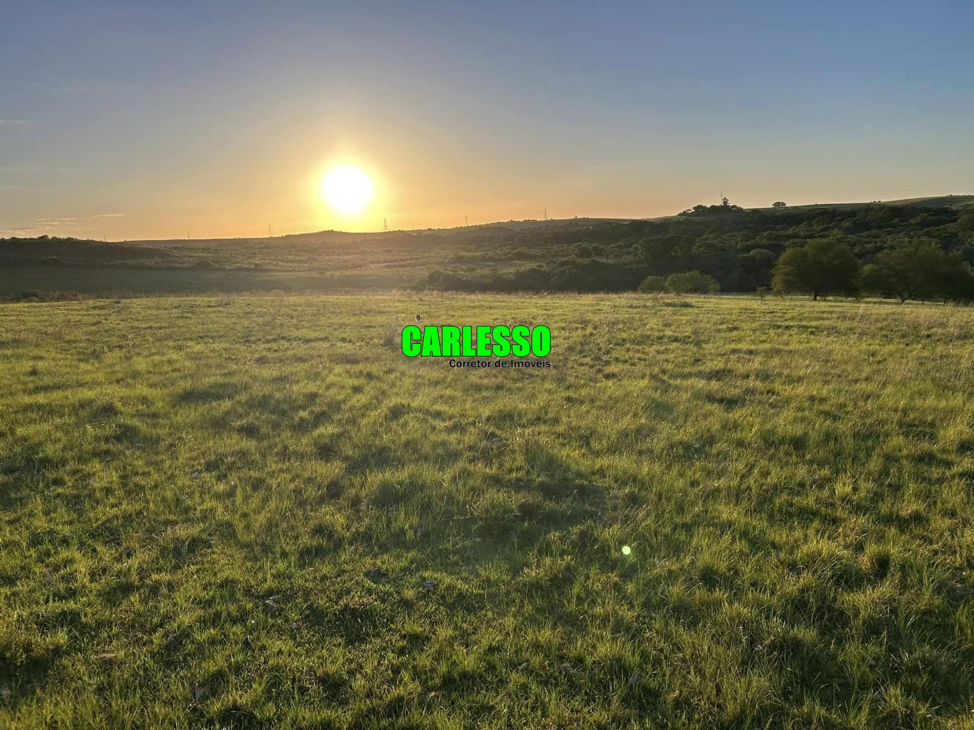 Fazenda à venda com 2 quartos, 70m² - Foto 9