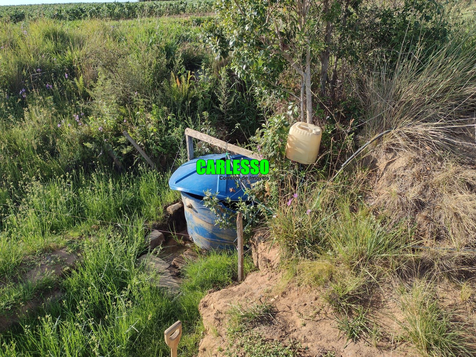 Fazenda à venda com 3 quartos, 630000m² - Foto 38