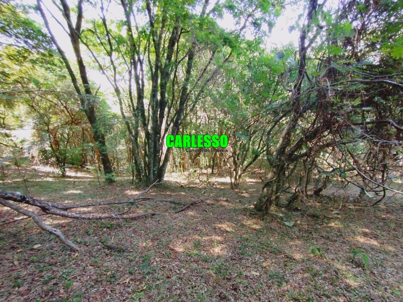 Loteamento e Condomínio à venda, 80000m² - Foto 18
