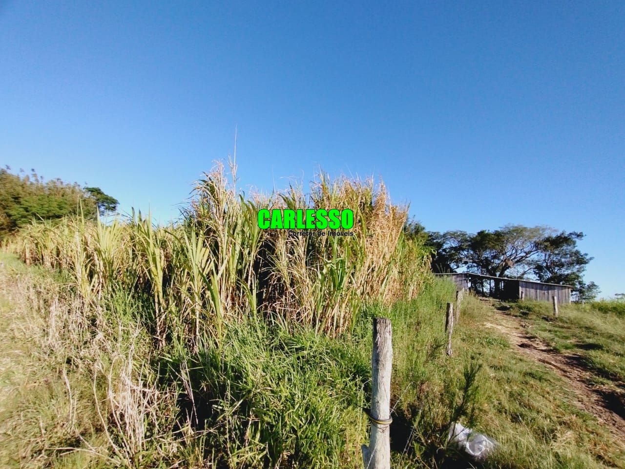 Fazenda à venda com 3 quartos, 100m² - Foto 36