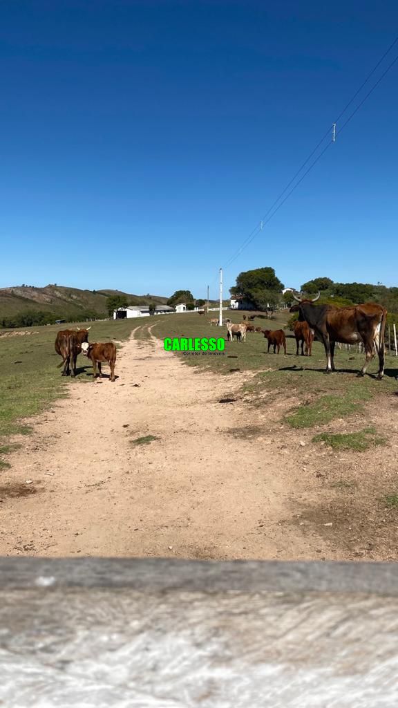 Fazenda à venda com 2 quartos, 5760000m² - Foto 1