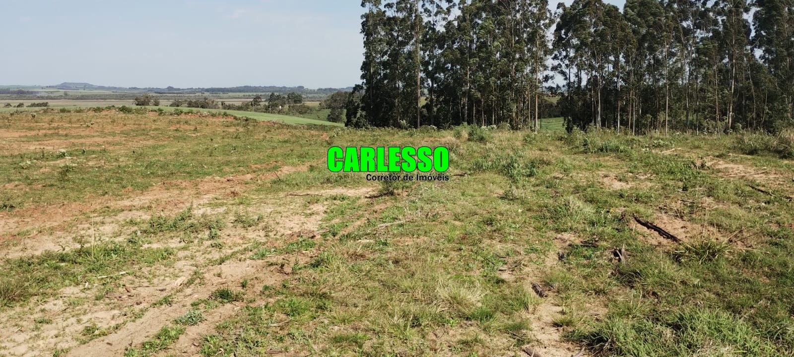 Fazenda à venda com 2 quartos, 295000m² - Foto 35