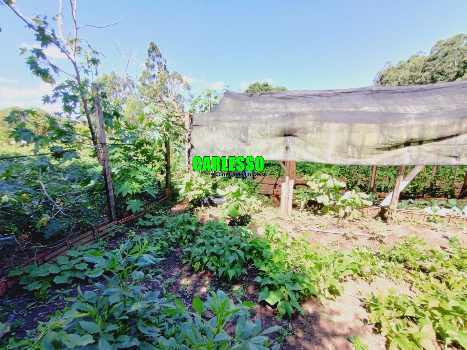 Fazenda à venda com 2 quartos, 100m² - Foto 32