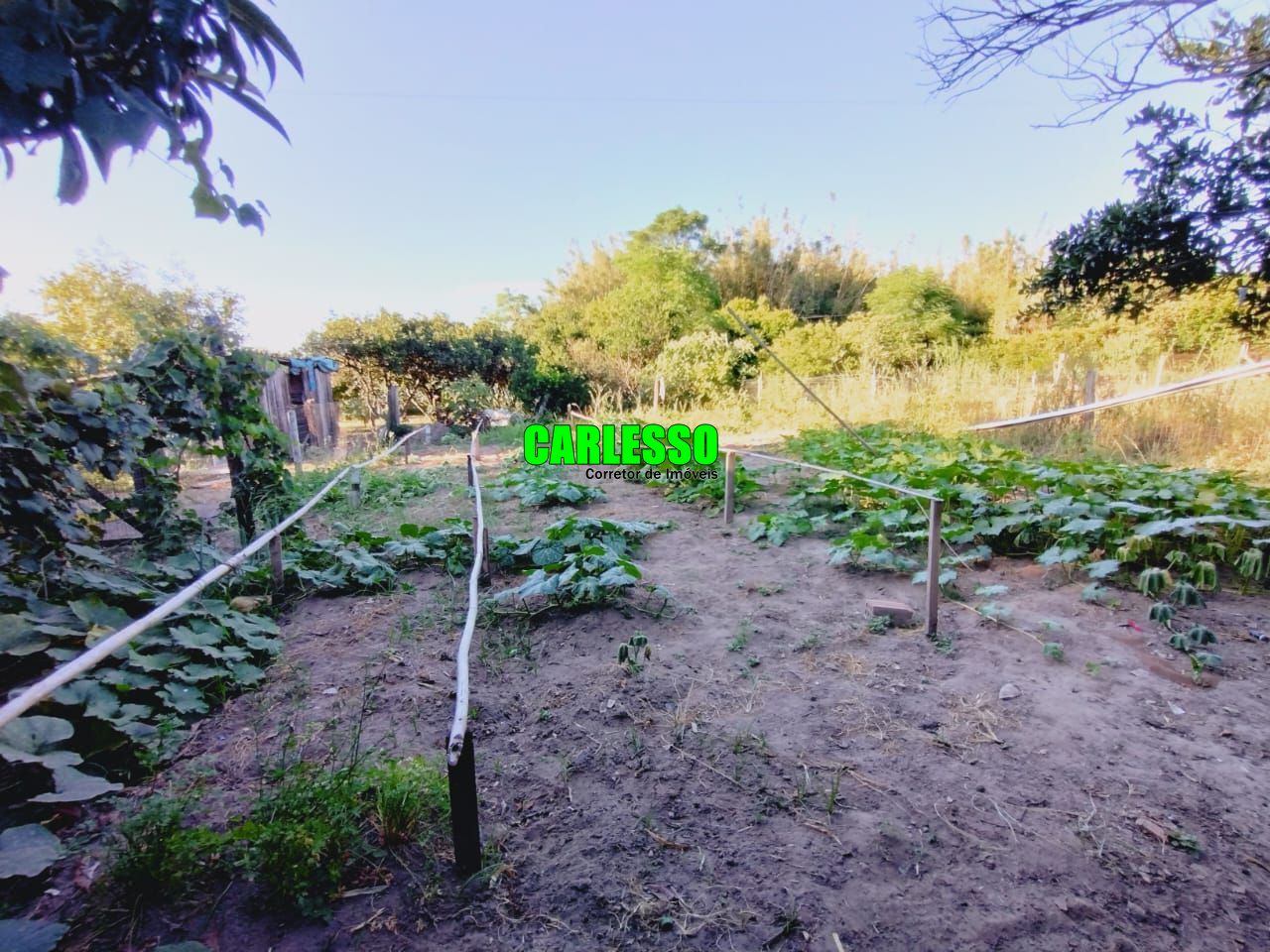 Fazenda à venda com 3 quartos, 100m² - Foto 23