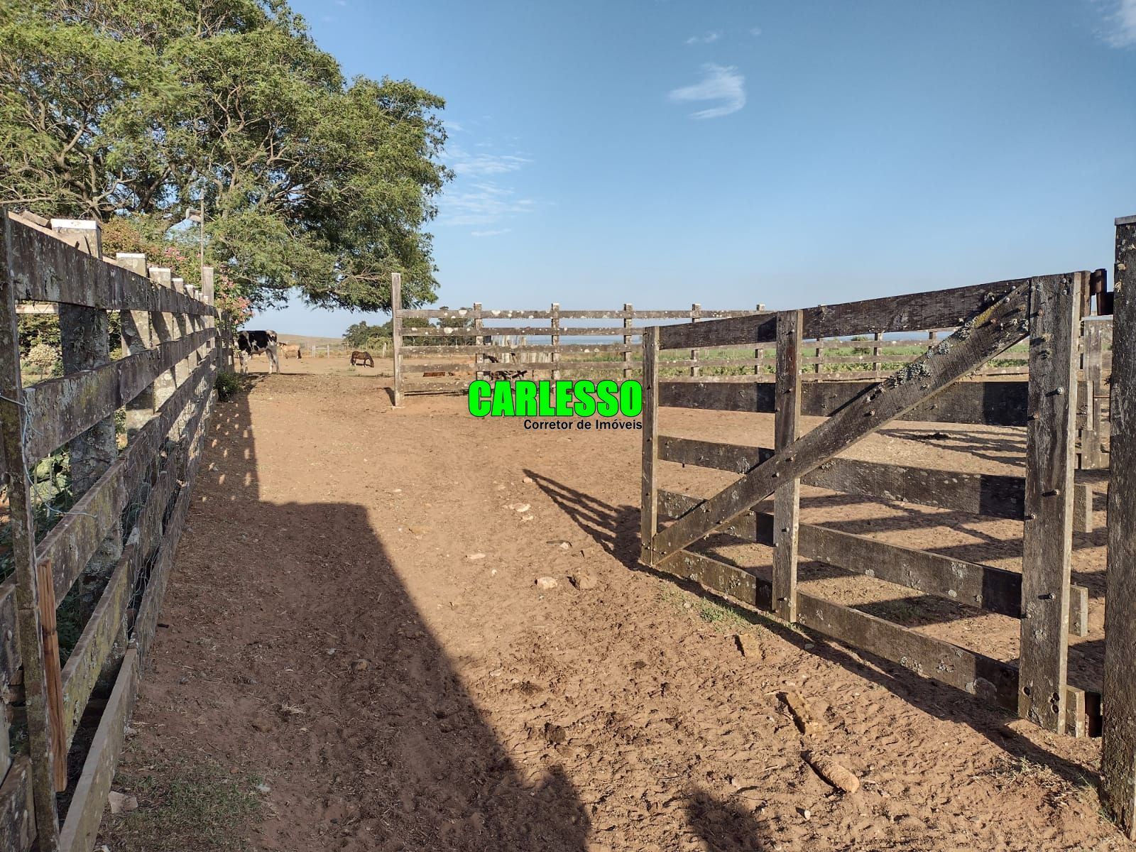 Fazenda à venda com 3 quartos, 630000m² - Foto 12