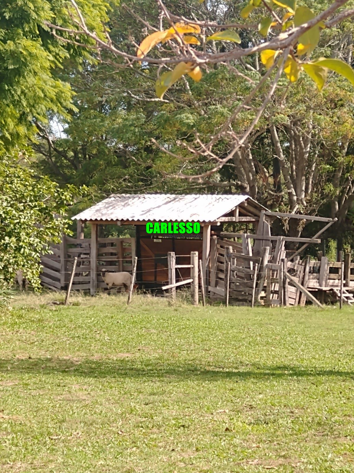 Fazenda à venda com 2 quartos, 100m² - Foto 13