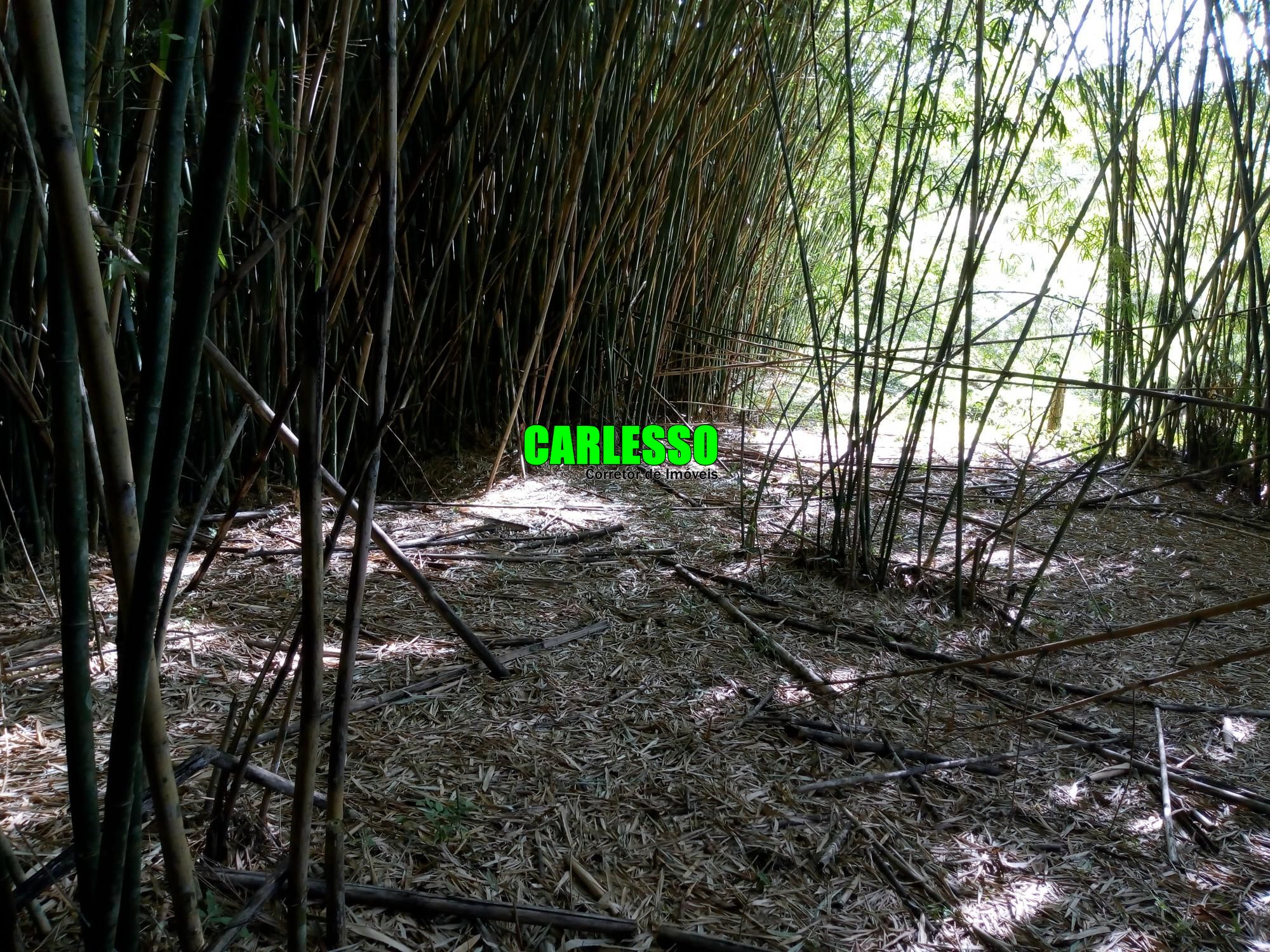 Loteamento e Condomínio à venda, 50000m² - Foto 20