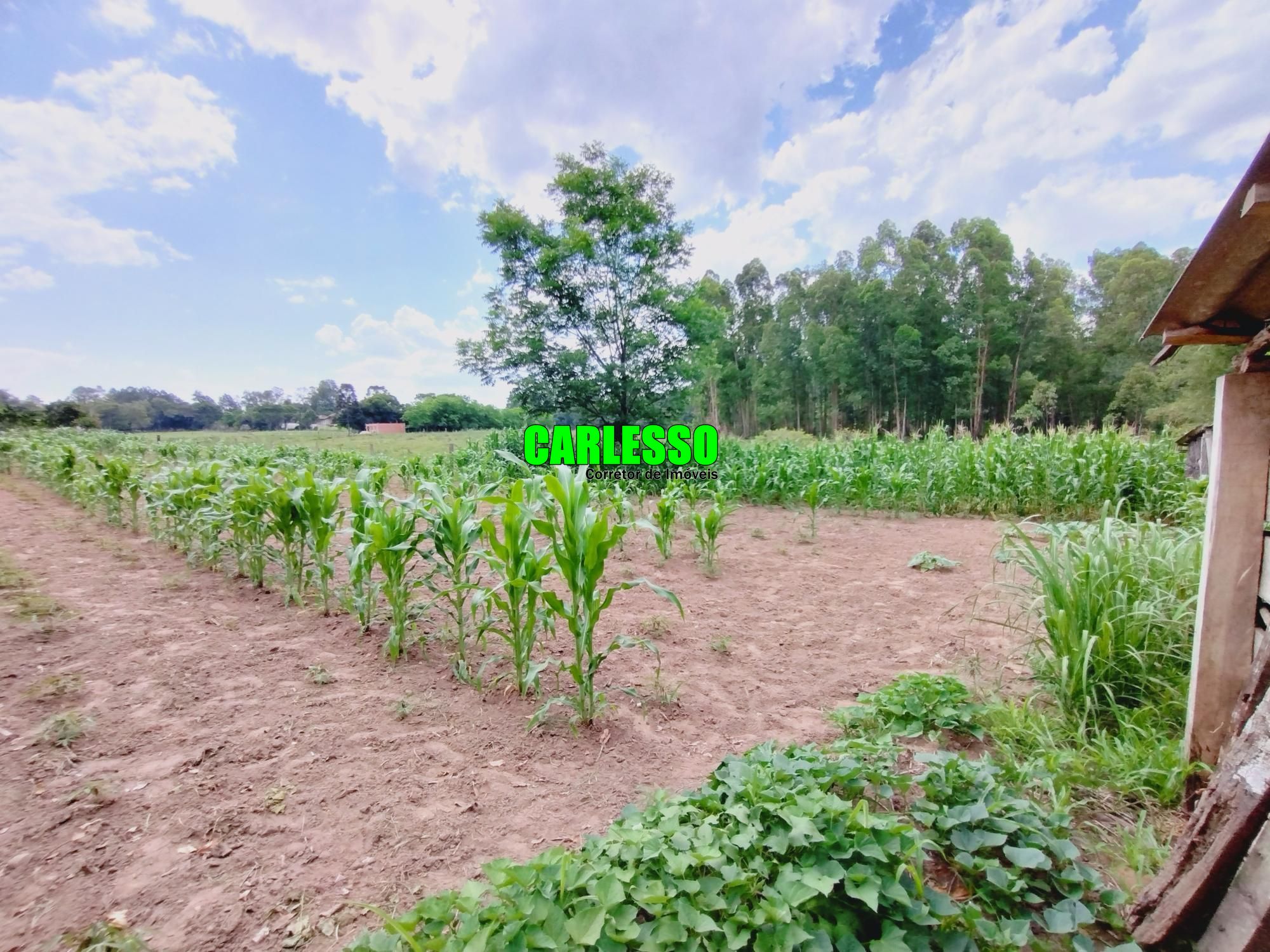 Fazenda à venda com 2 quartos, 100m² - Foto 32