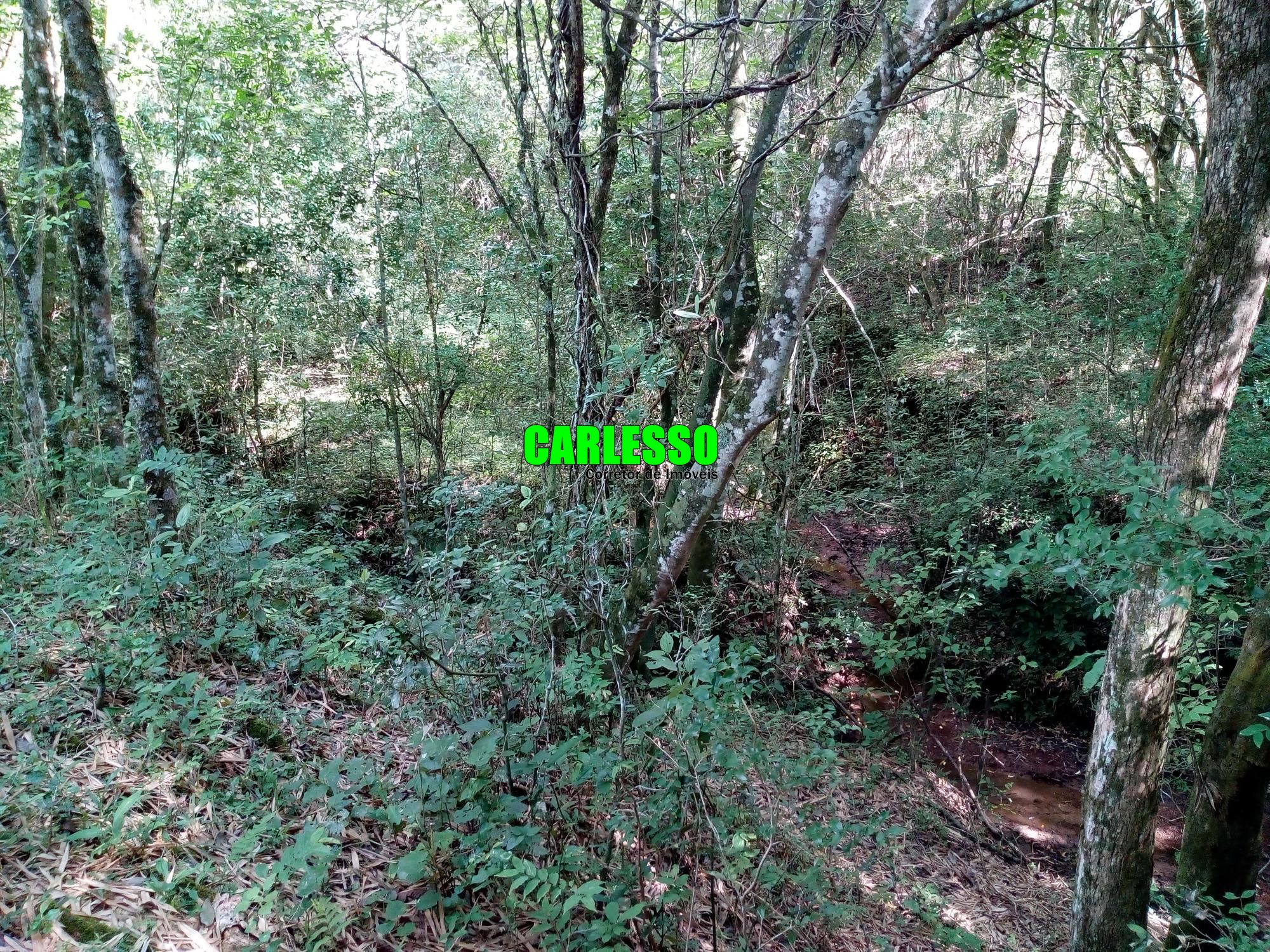 Loteamento e Condomínio à venda, 50000m² - Foto 19