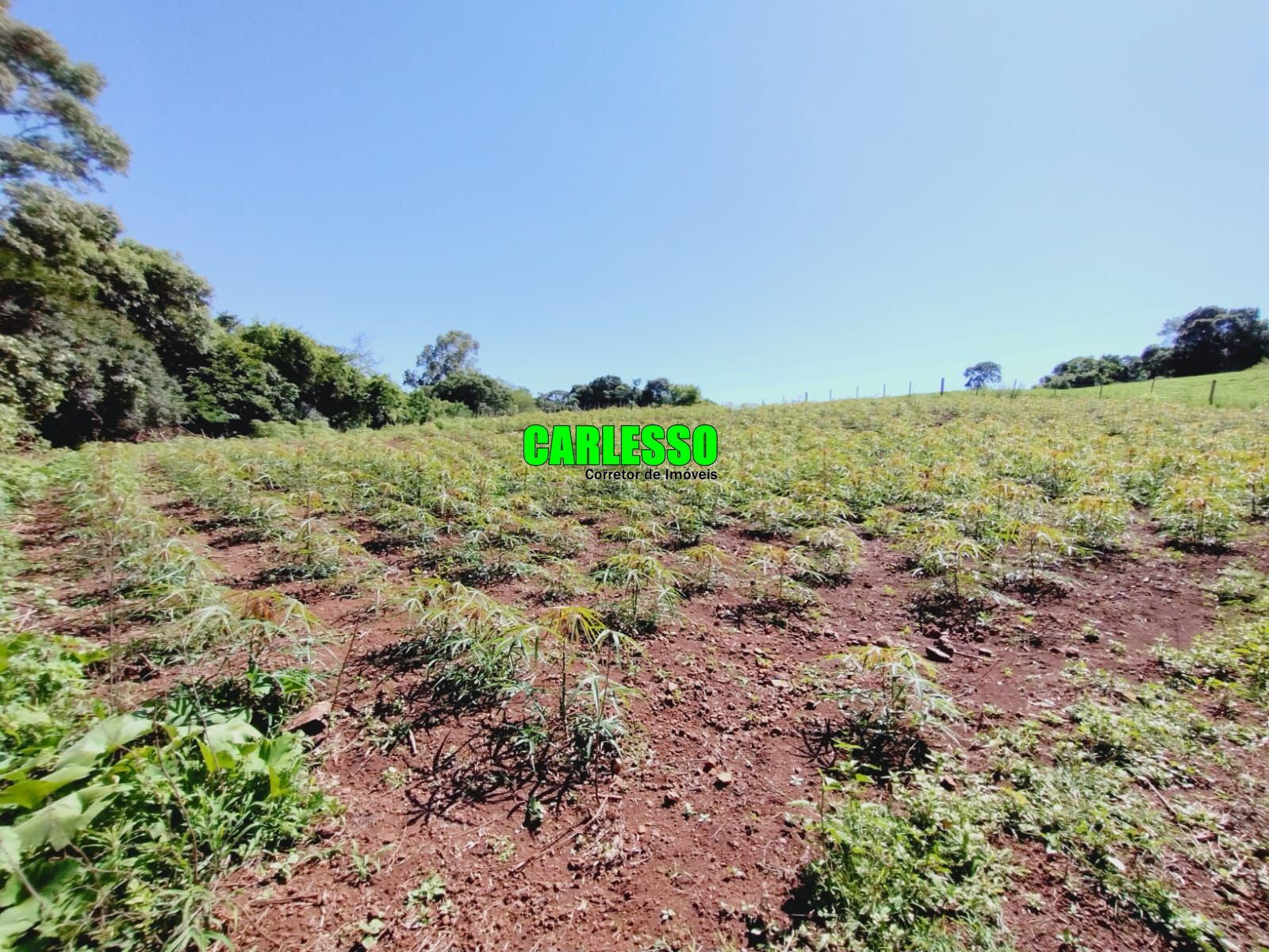 Fazenda à venda com 2 quartos, 100m² - Foto 50