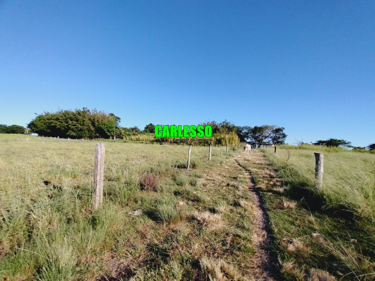 Fazenda à venda com 3 quartos, 100m² - Foto 38