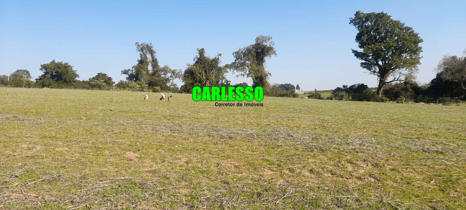 Fazenda à venda com 4 quartos, 75000m² - Foto 11