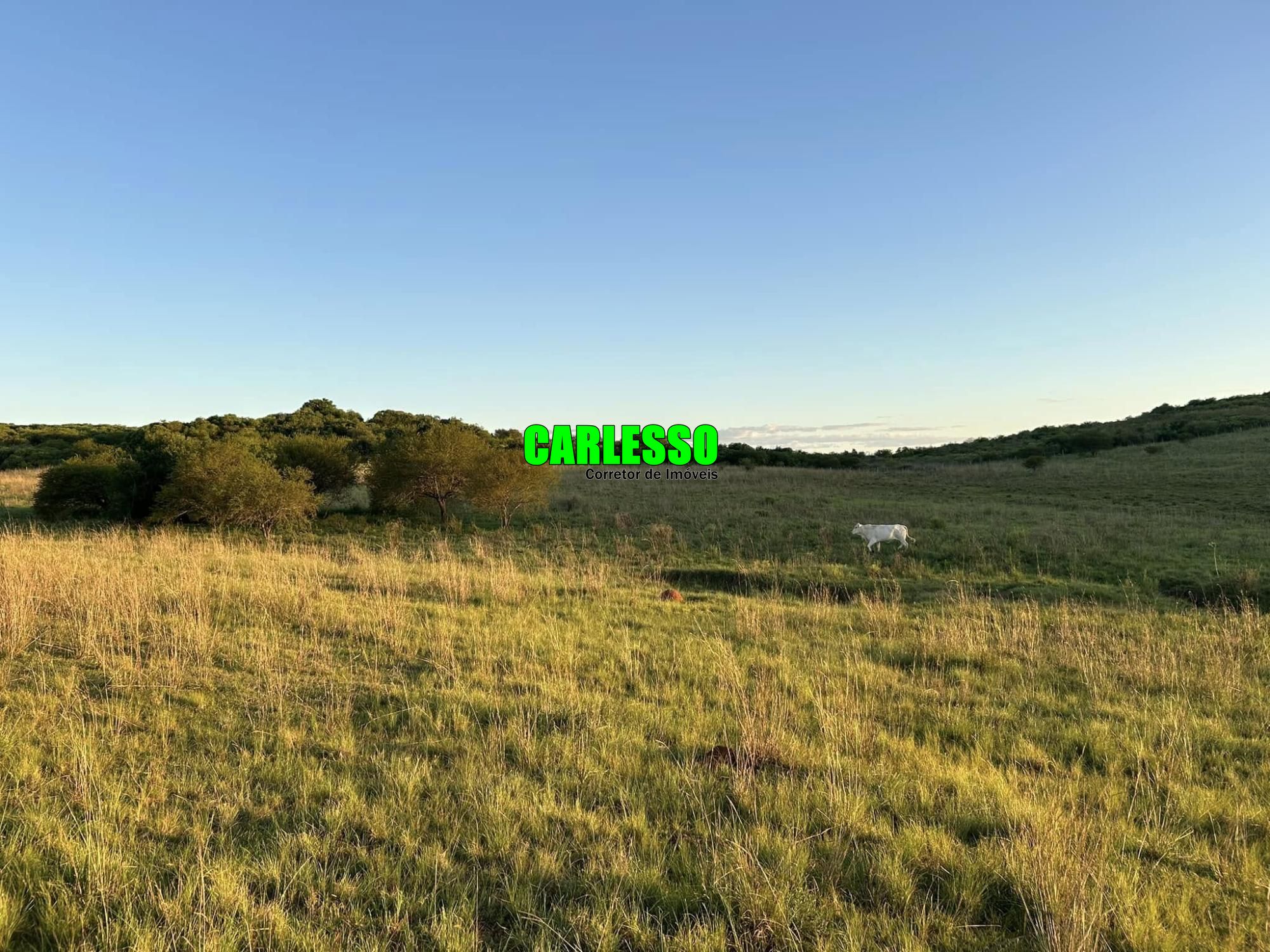 Fazenda/sítio/chácara/haras à venda  no Zona Rural - Alegrete, RS. Imóveis