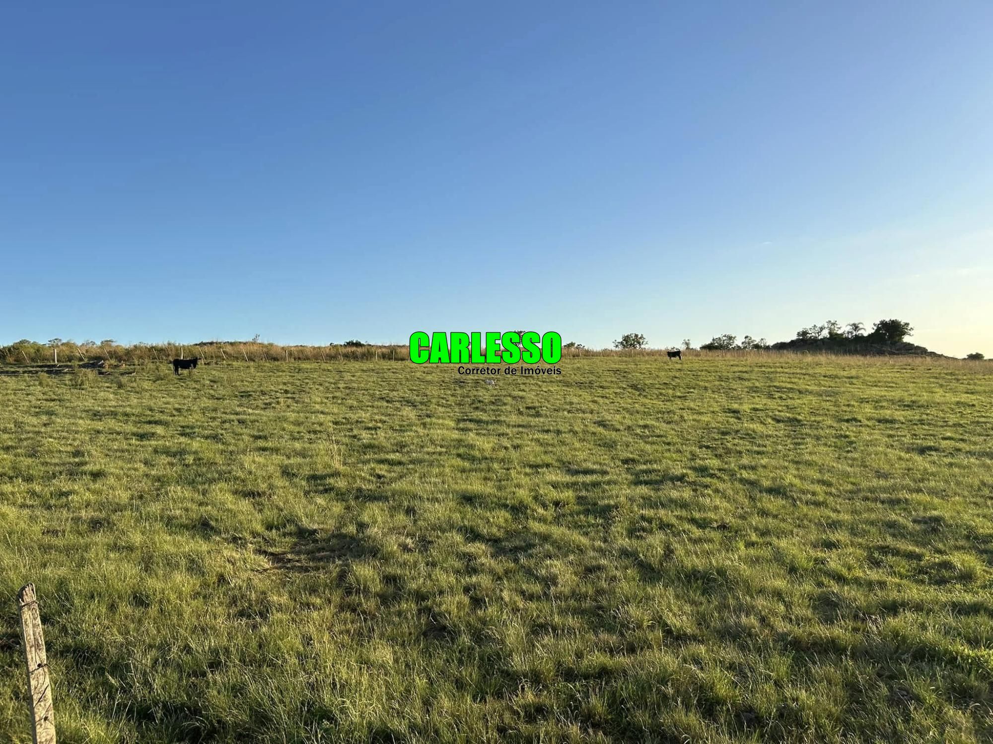 Fazenda à venda com 2 quartos, 70m² - Foto 2