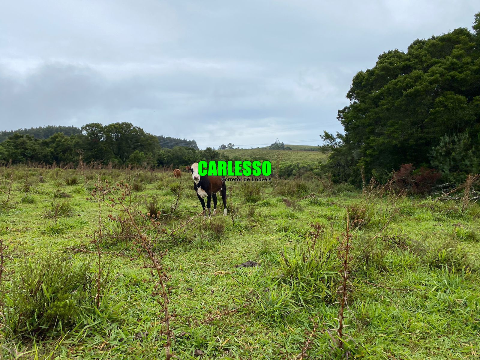 Fazenda à venda com 2 quartos, 5760000m² - Foto 24