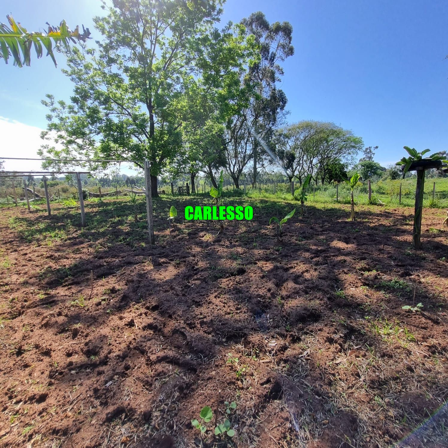 Chácara à venda com 5 quartos, 200m² - Foto 17
