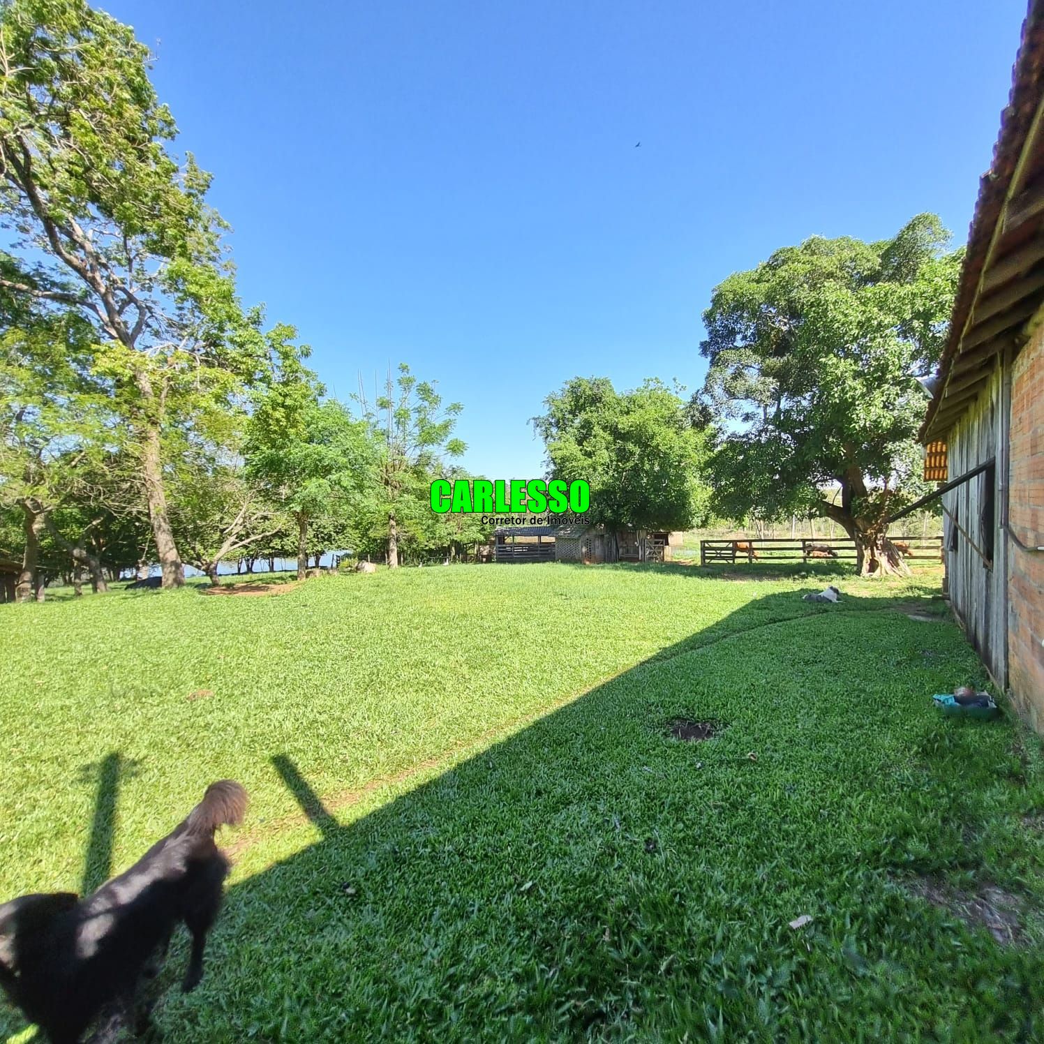 Chácara à venda com 5 quartos, 200m² - Foto 24