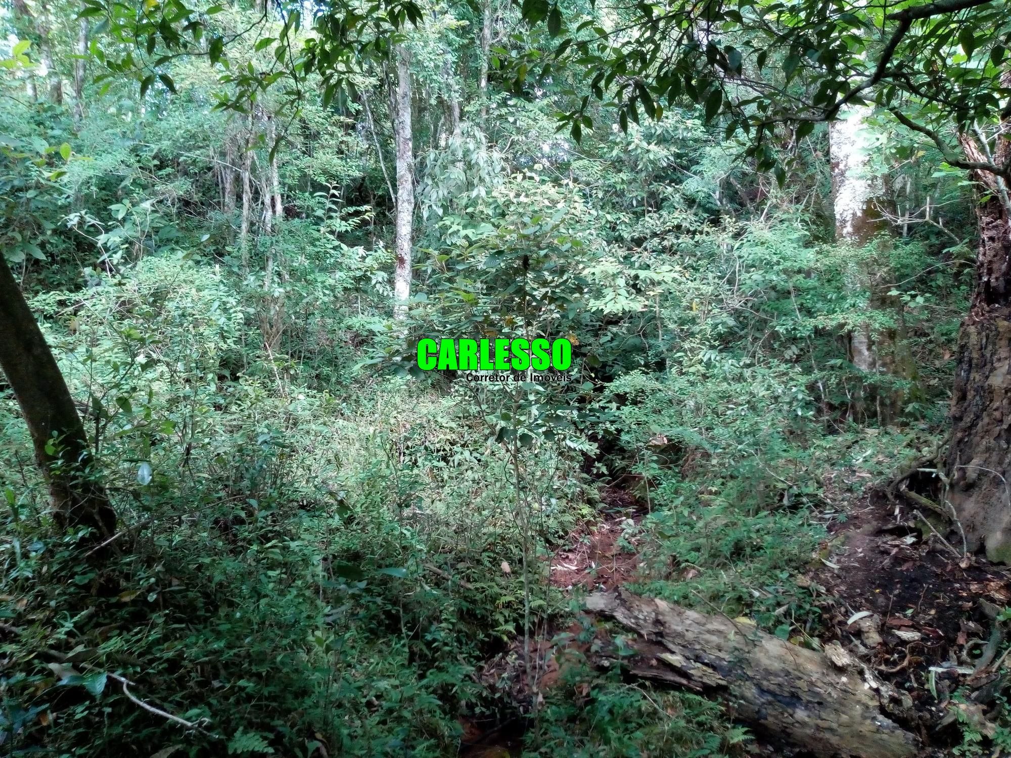 Loteamento e Condomínio à venda, 50000m² - Foto 30