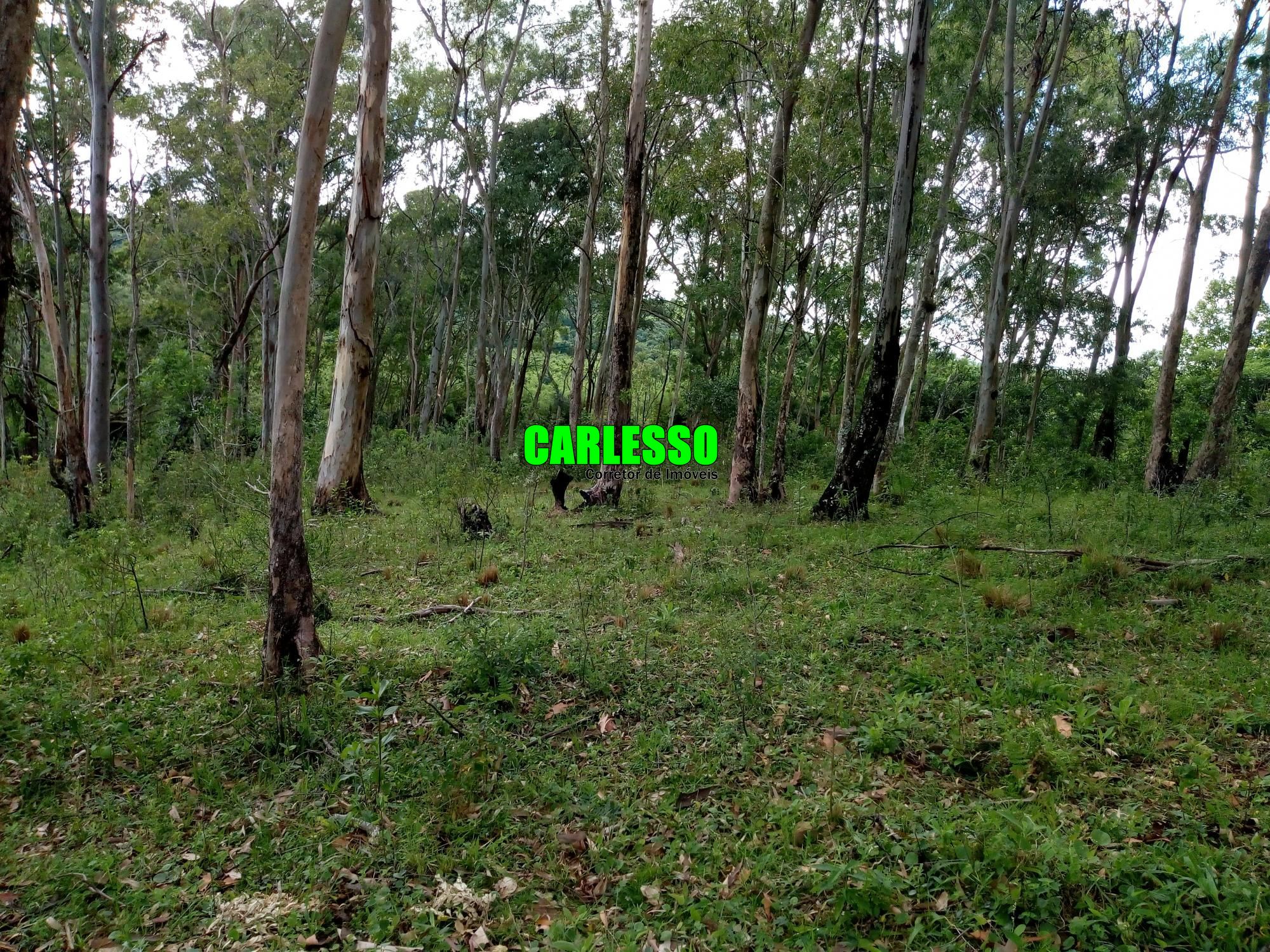 Loteamento e Condomínio à venda, 50000m² - Foto 11