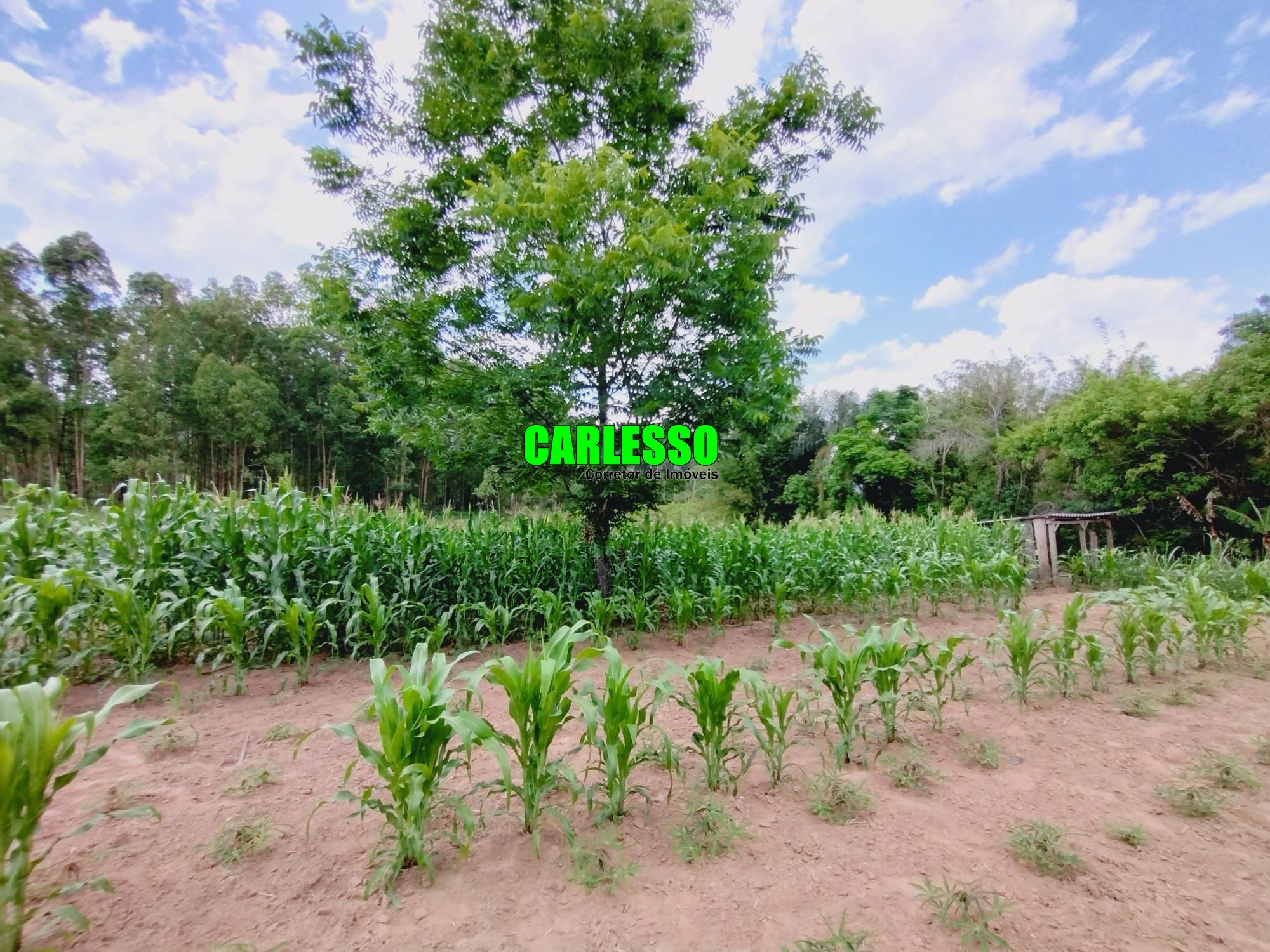 Fazenda à venda com 2 quartos, 100m² - Foto 33