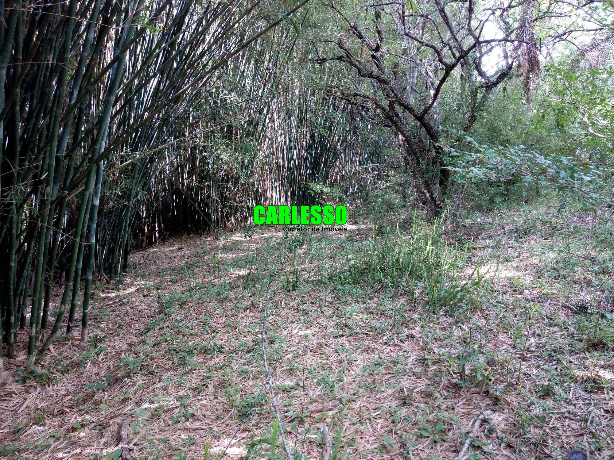 Loteamento e Condomínio à venda, 50000m² - Foto 18