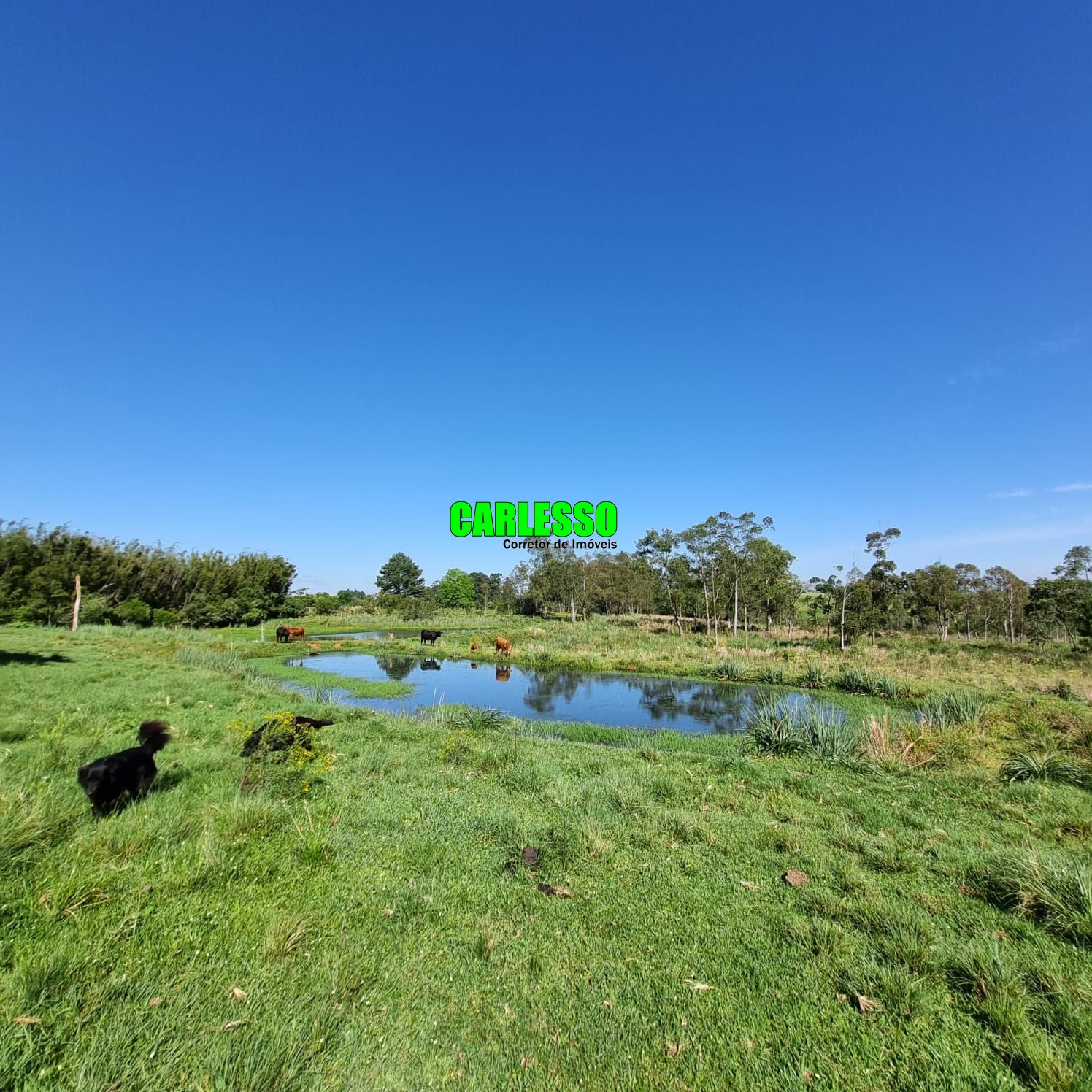 Chácara à venda com 5 quartos, 200m² - Foto 27