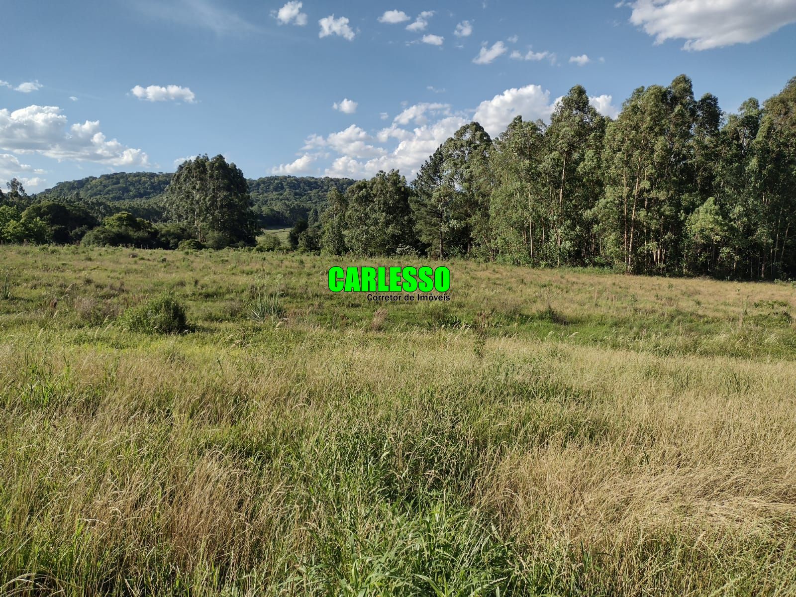 Fazenda à venda com 2 quartos, 150000m² - Foto 24