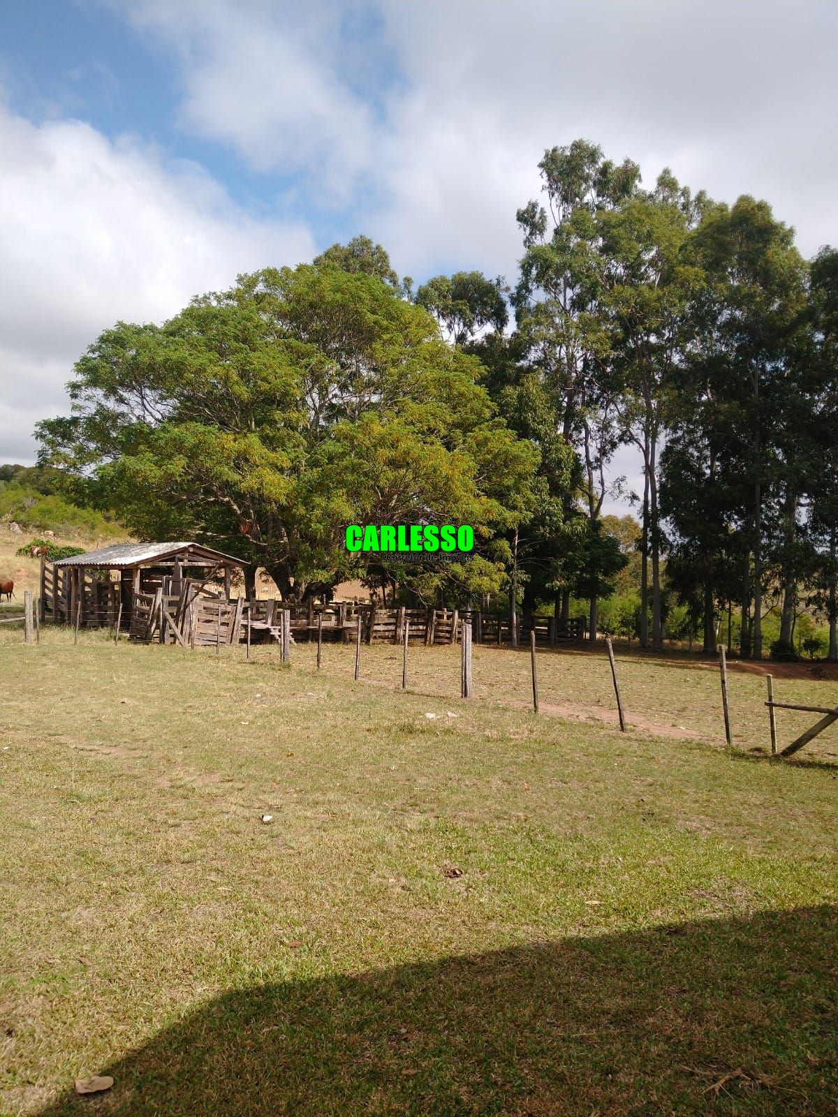 Fazenda à venda com 2 quartos, 100m² - Foto 11