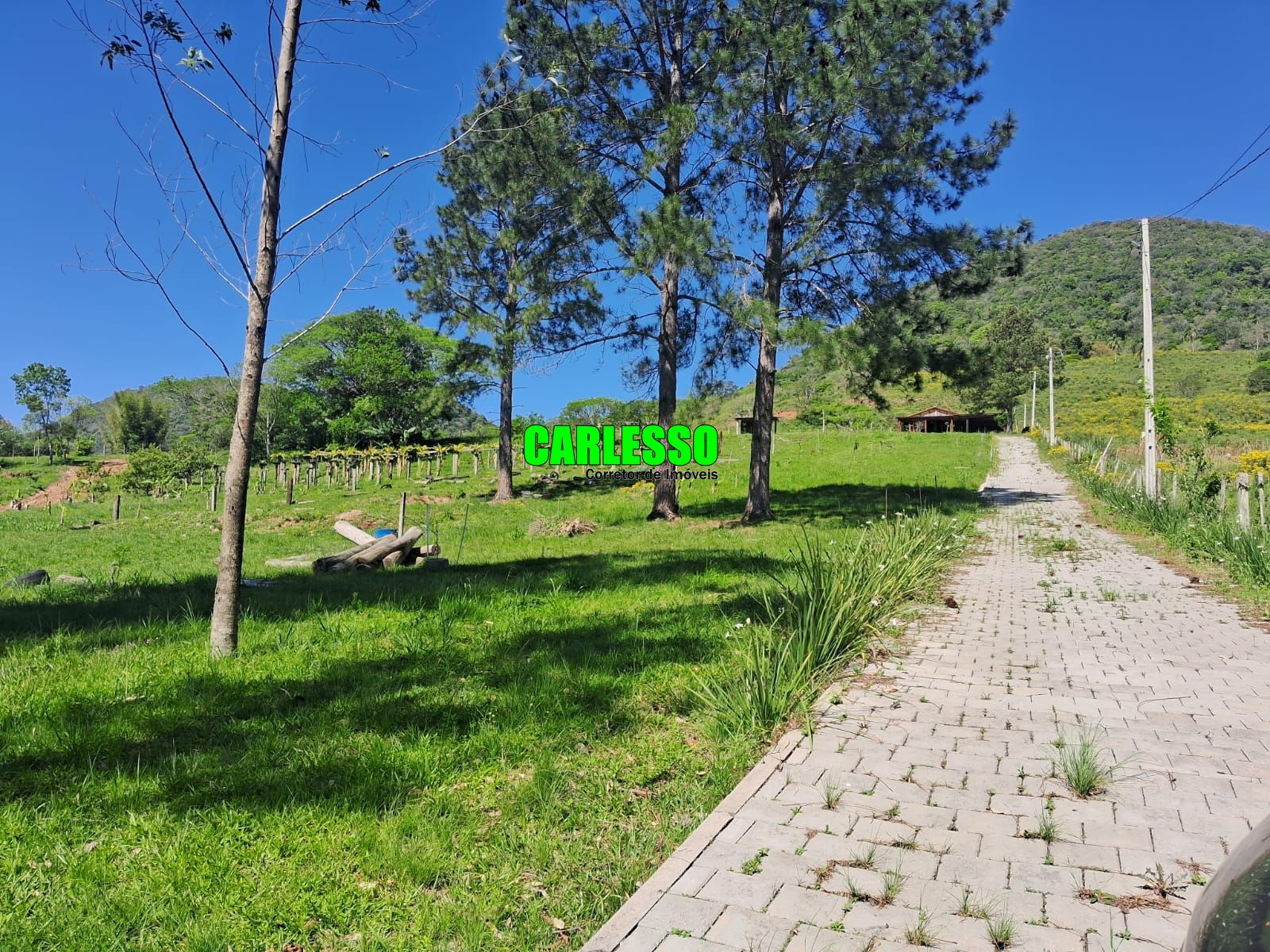 Fazenda/sítio/chácara/haras à venda  no Palma - Santa Maria, RS. Imóveis