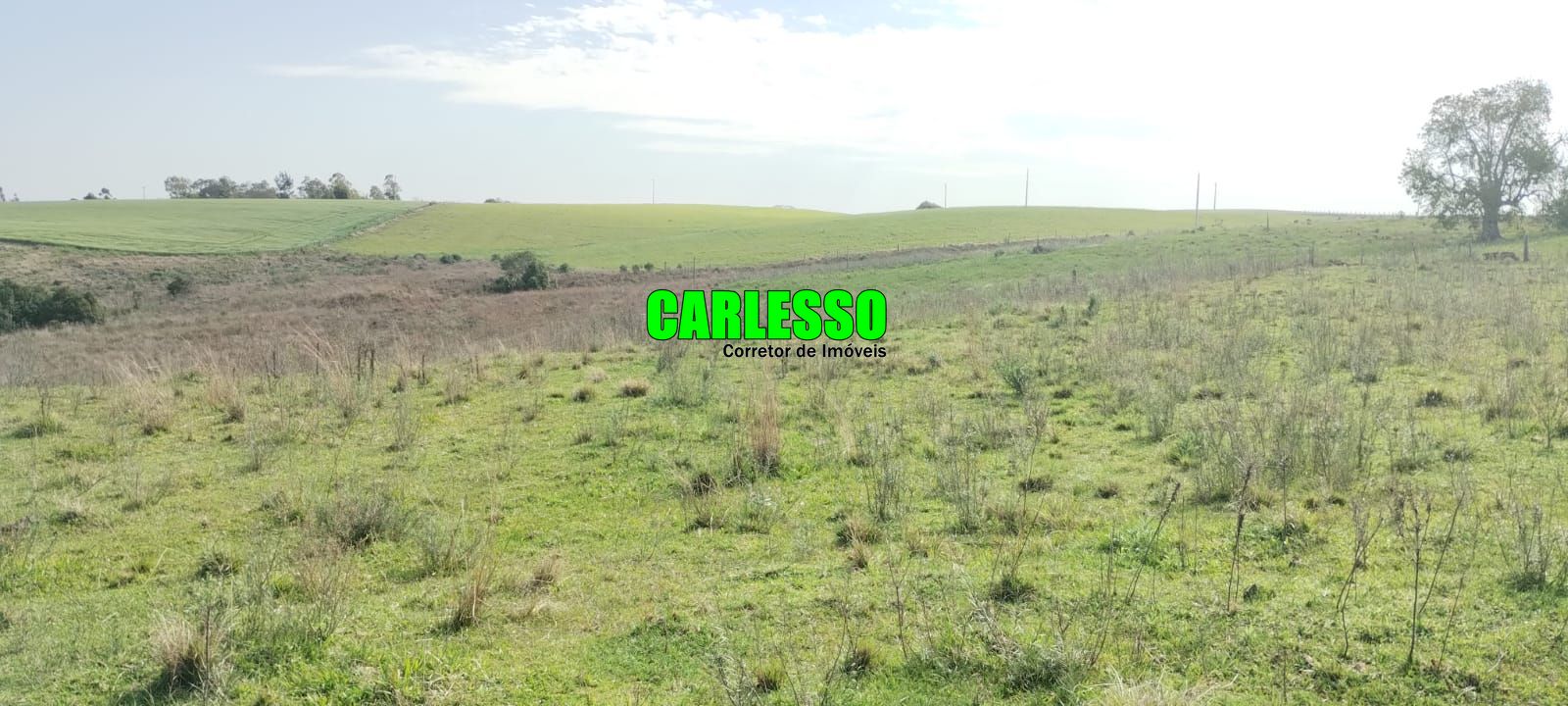 Fazenda à venda com 2 quartos, 295000m² - Foto 21