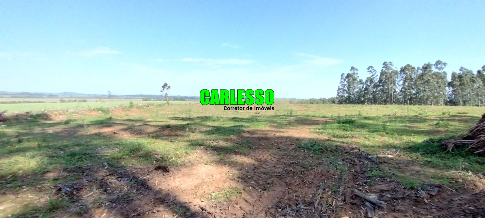 Fazenda à venda com 2 quartos, 295000m² - Foto 53