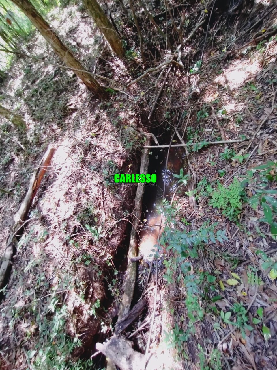 Loteamento e Condomínio à venda, 80000m² - Foto 13