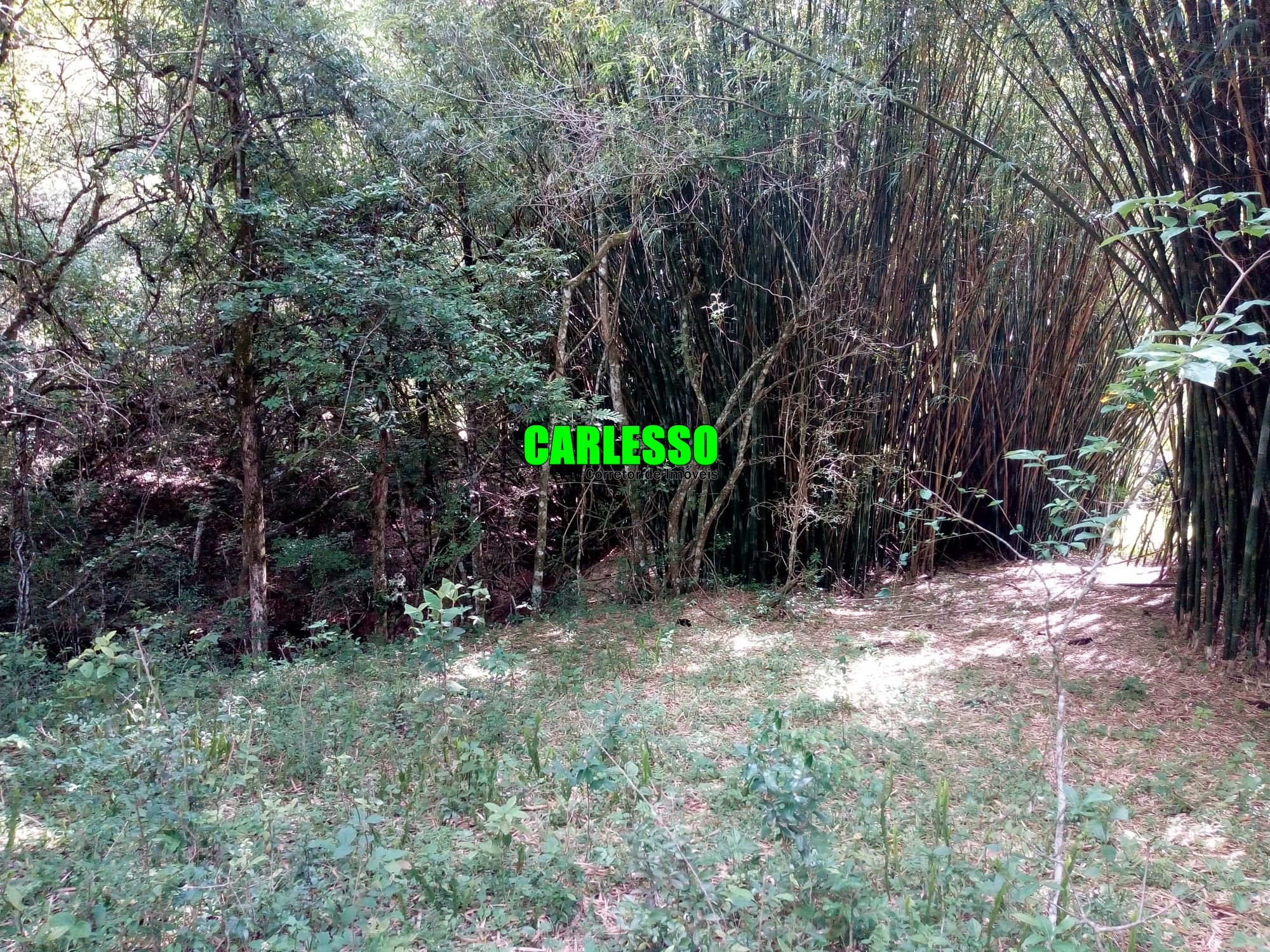 Loteamento e Condomínio à venda, 50000m² - Foto 17