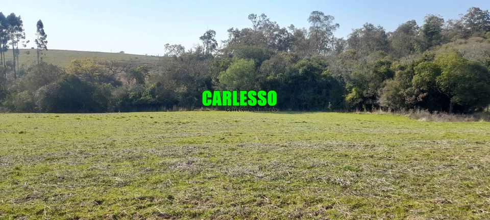 Fazenda à venda com 4 quartos, 75000m² - Foto 12