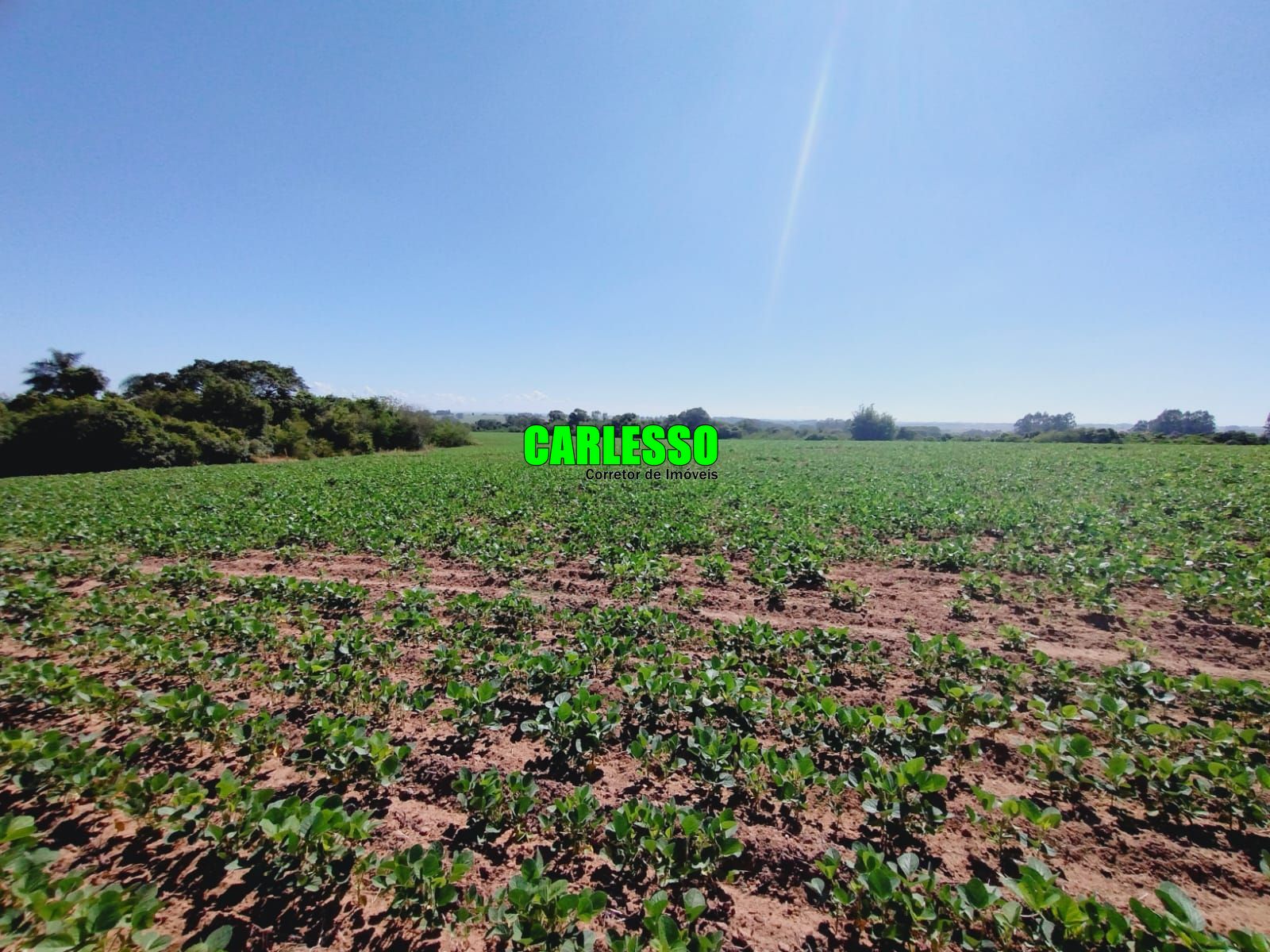 Terreno comercial à venda  no Catuçaba - São Gabriel, RS. Imóveis