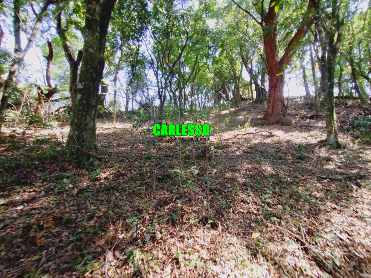 Loteamento e Condomínio à venda, 80000m² - Foto 21