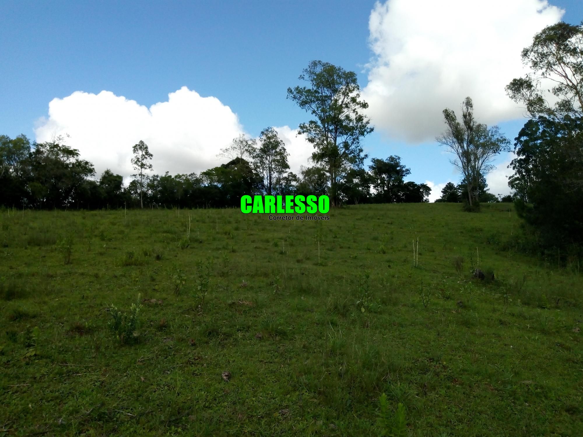Loteamento e Condomínio à venda, 50000m² - Foto 38
