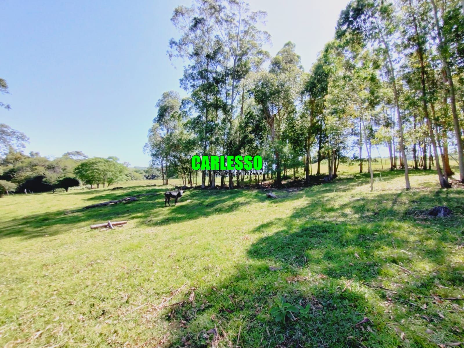 Fazenda à venda com 2 quartos, 100m² - Foto 46