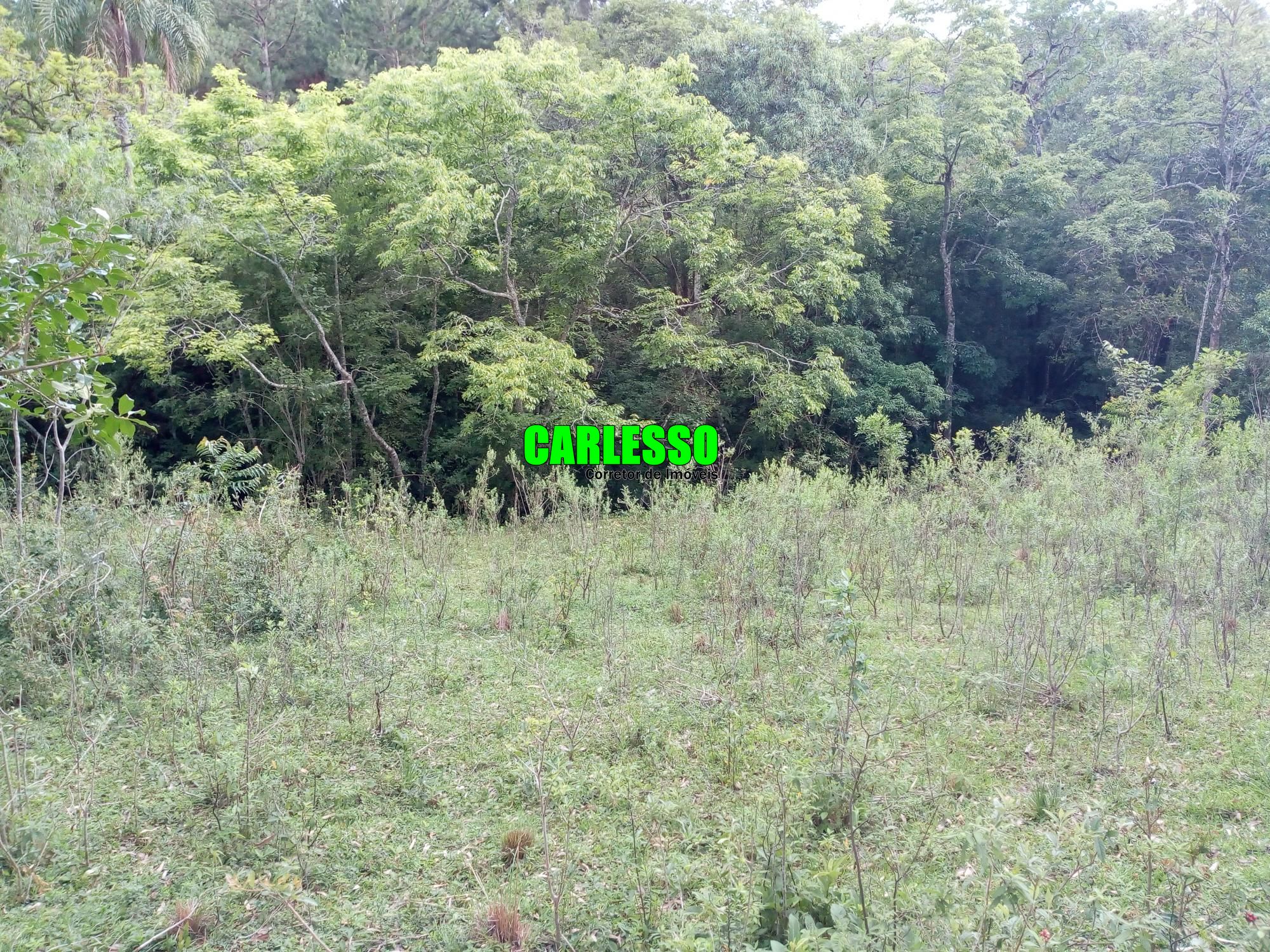Loteamento e Condomínio à venda, 50000m² - Foto 13