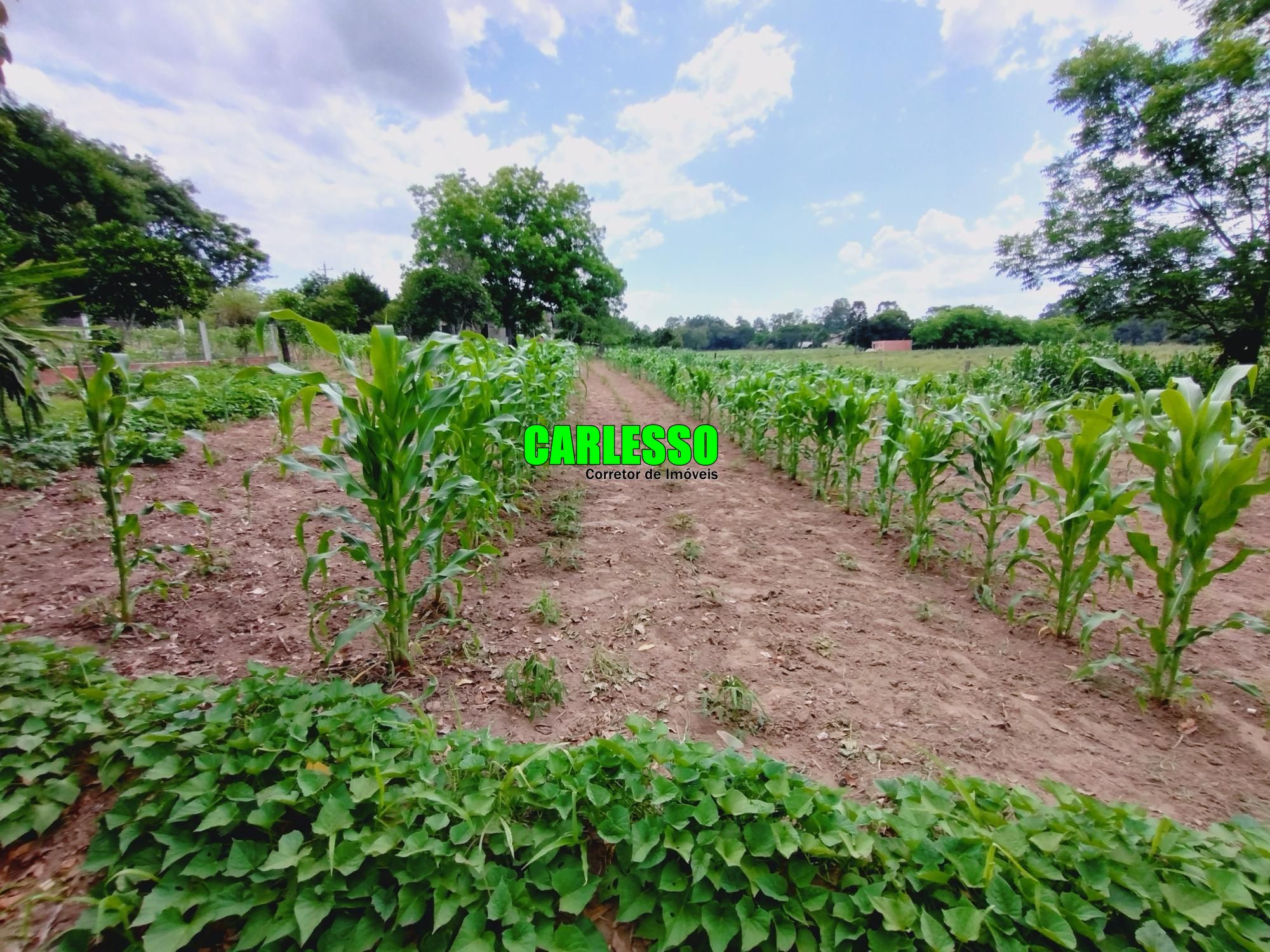 Chácara à venda com 2 quartos, 100m² - Foto 31